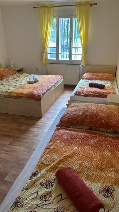 Quadruple Room with Garden View photo 1