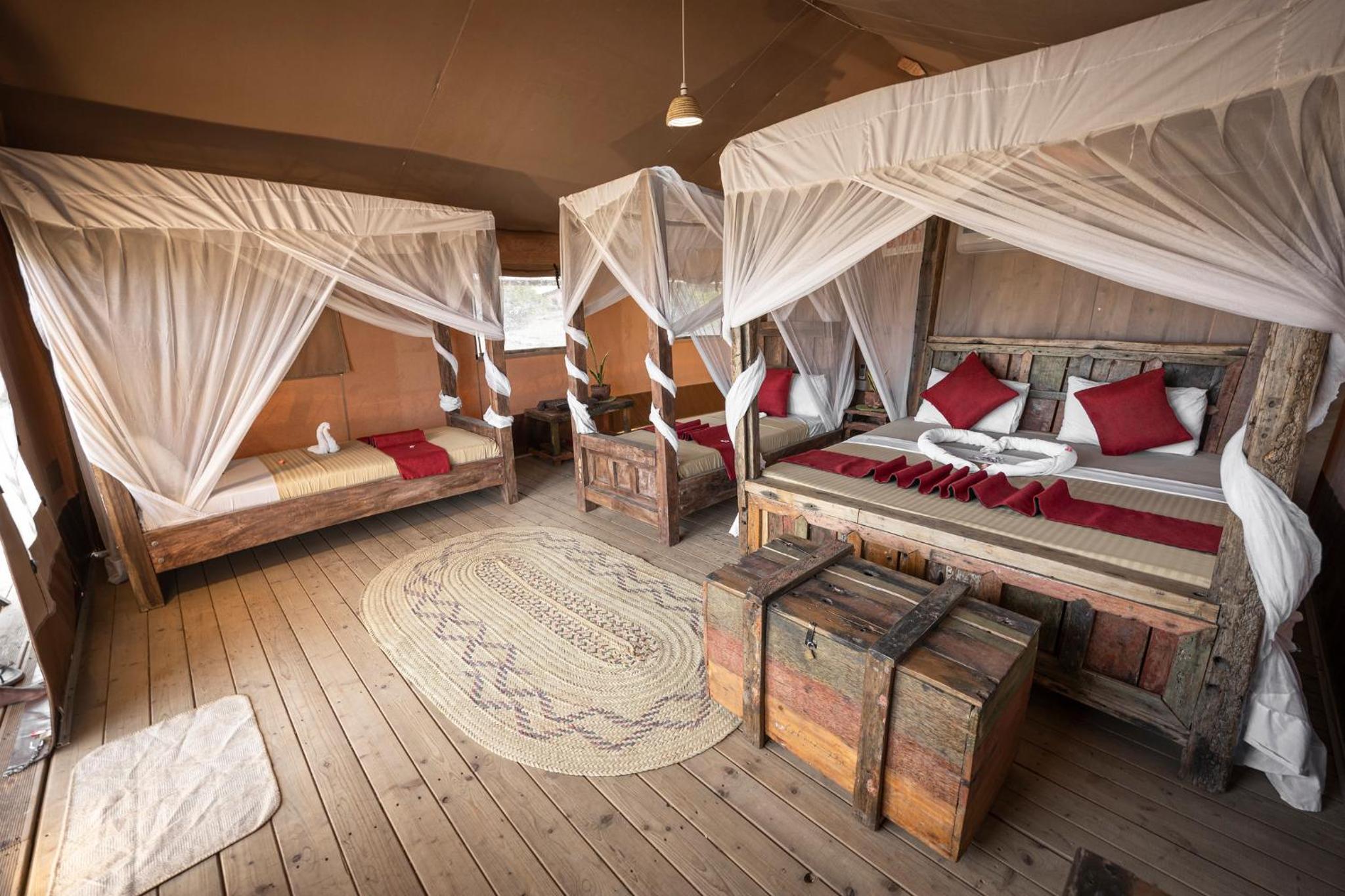 Safari Luxury Accommodations