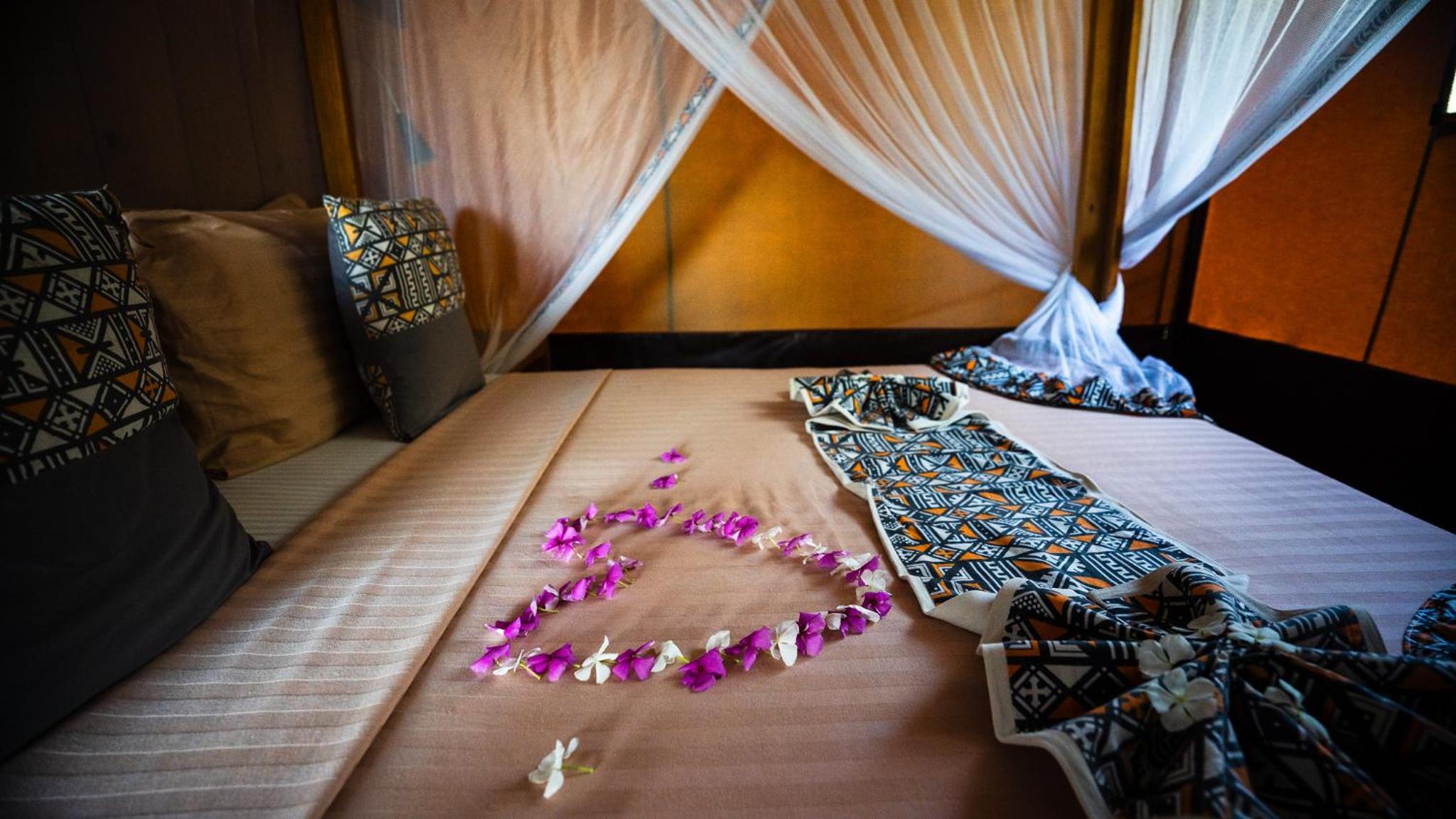 Safari Luxury Accommodations