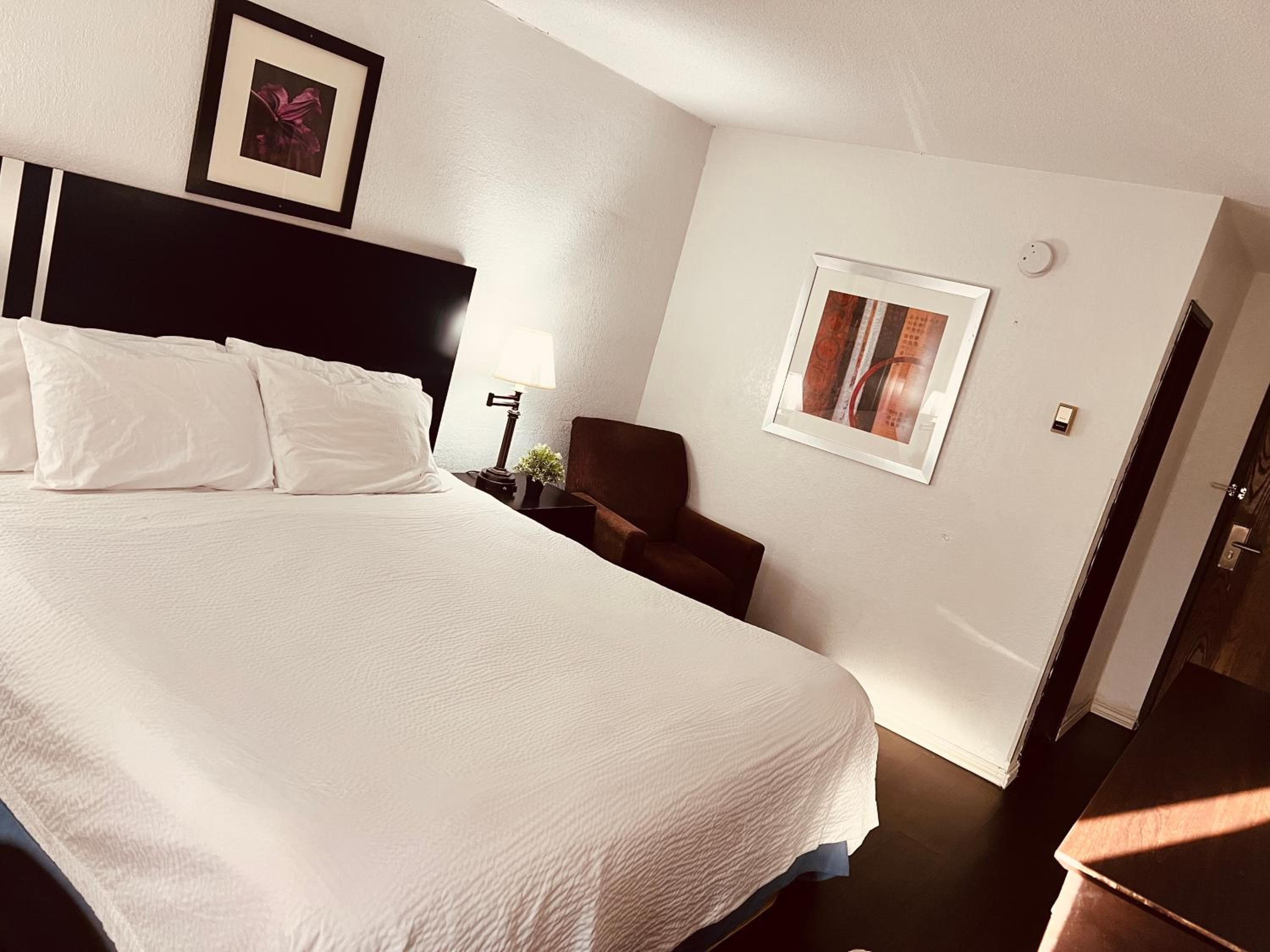 King Room- Non-Smoking - Photo 17
