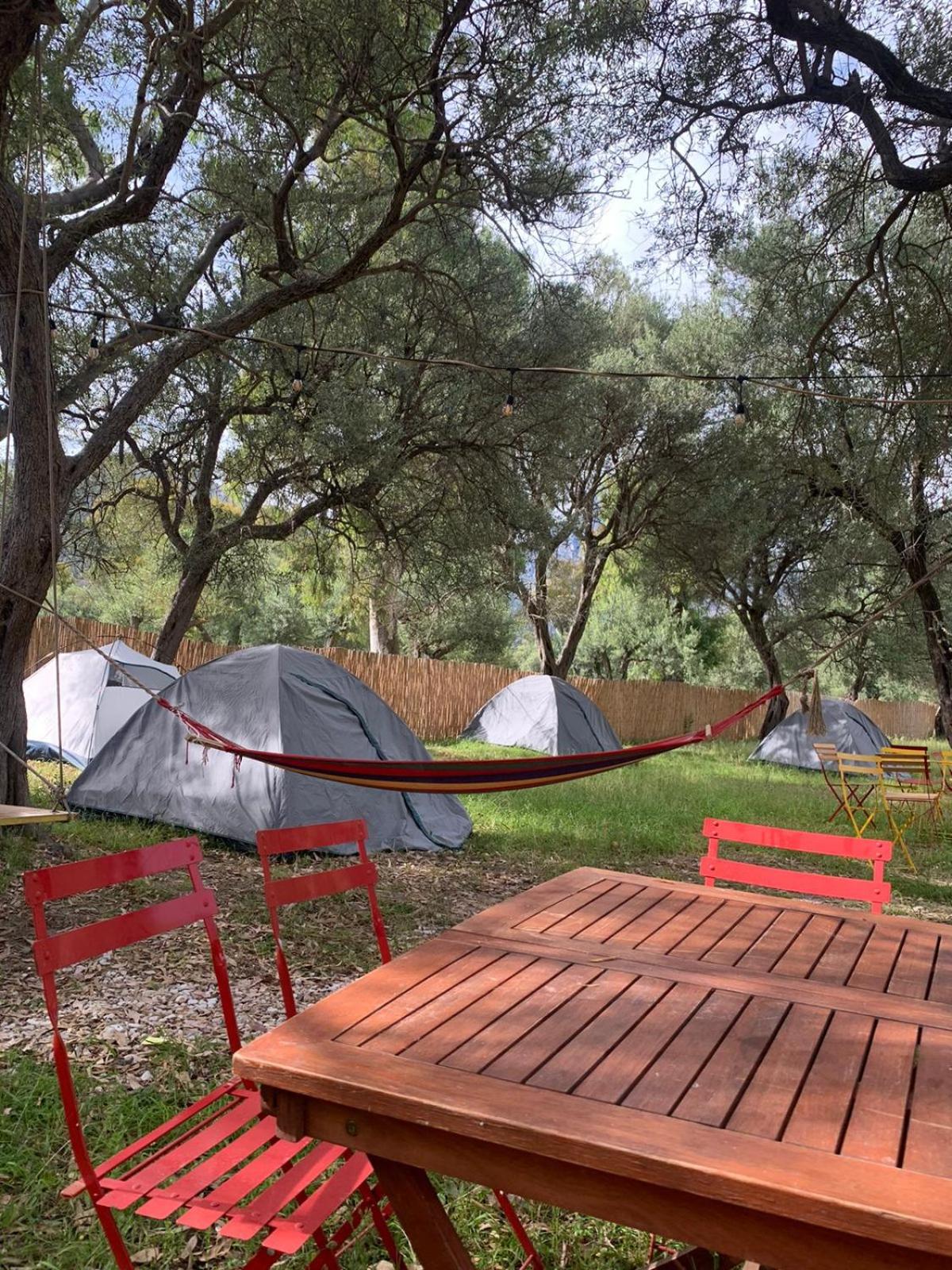 Tent