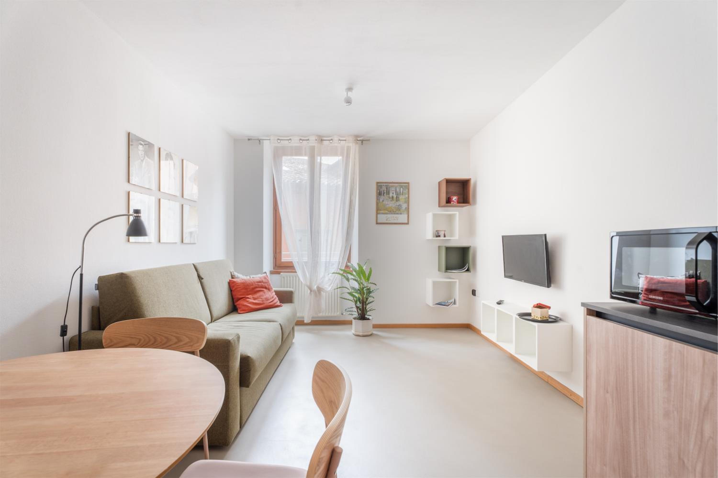 One-Bedroom Apartment with View