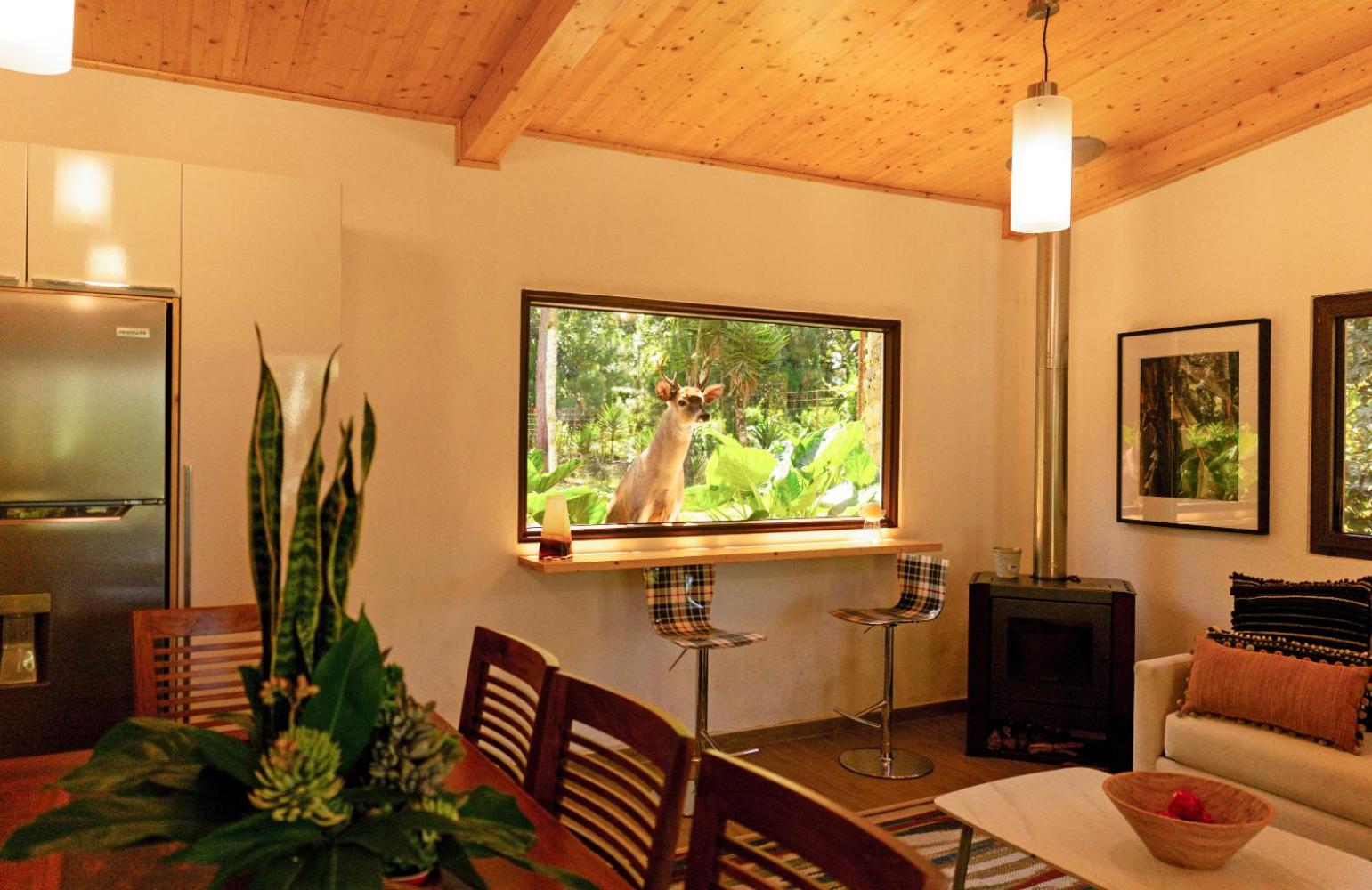 Superior Family Room