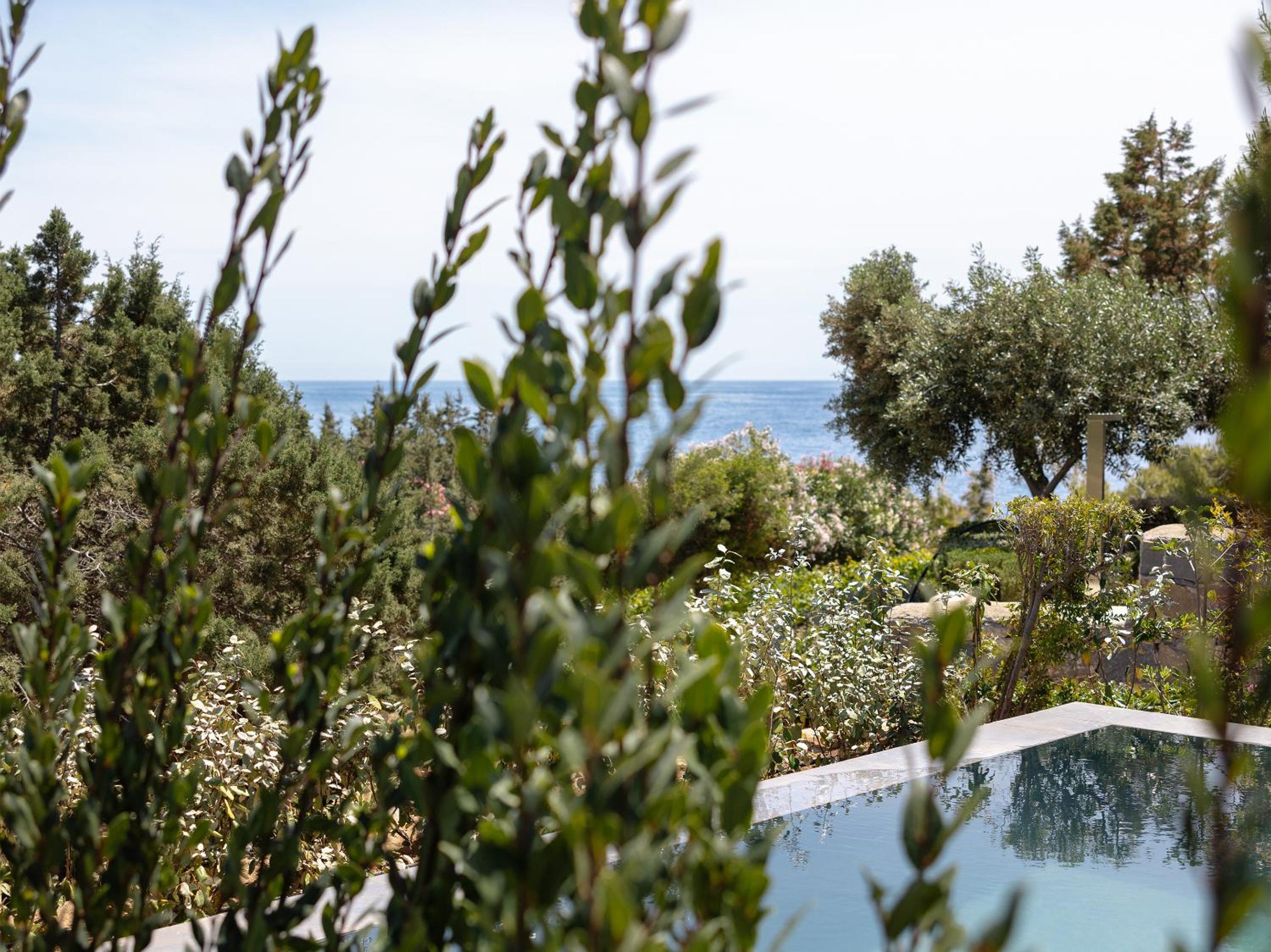 Dream Villa - Photo 17