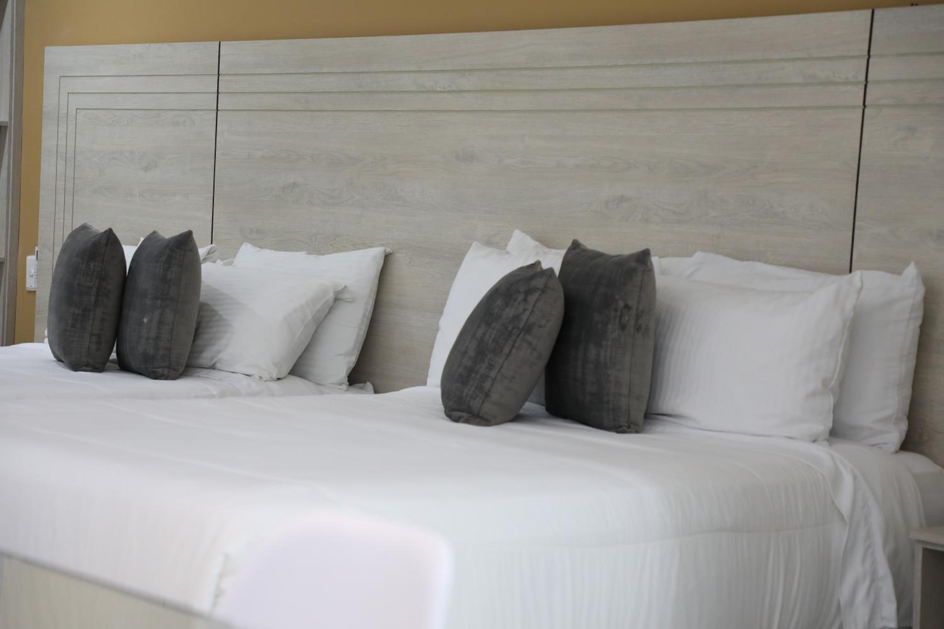 Standard Twin Room photo 1