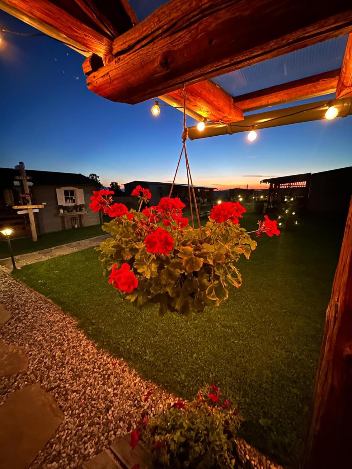 One-Bedroom House - Photo 10