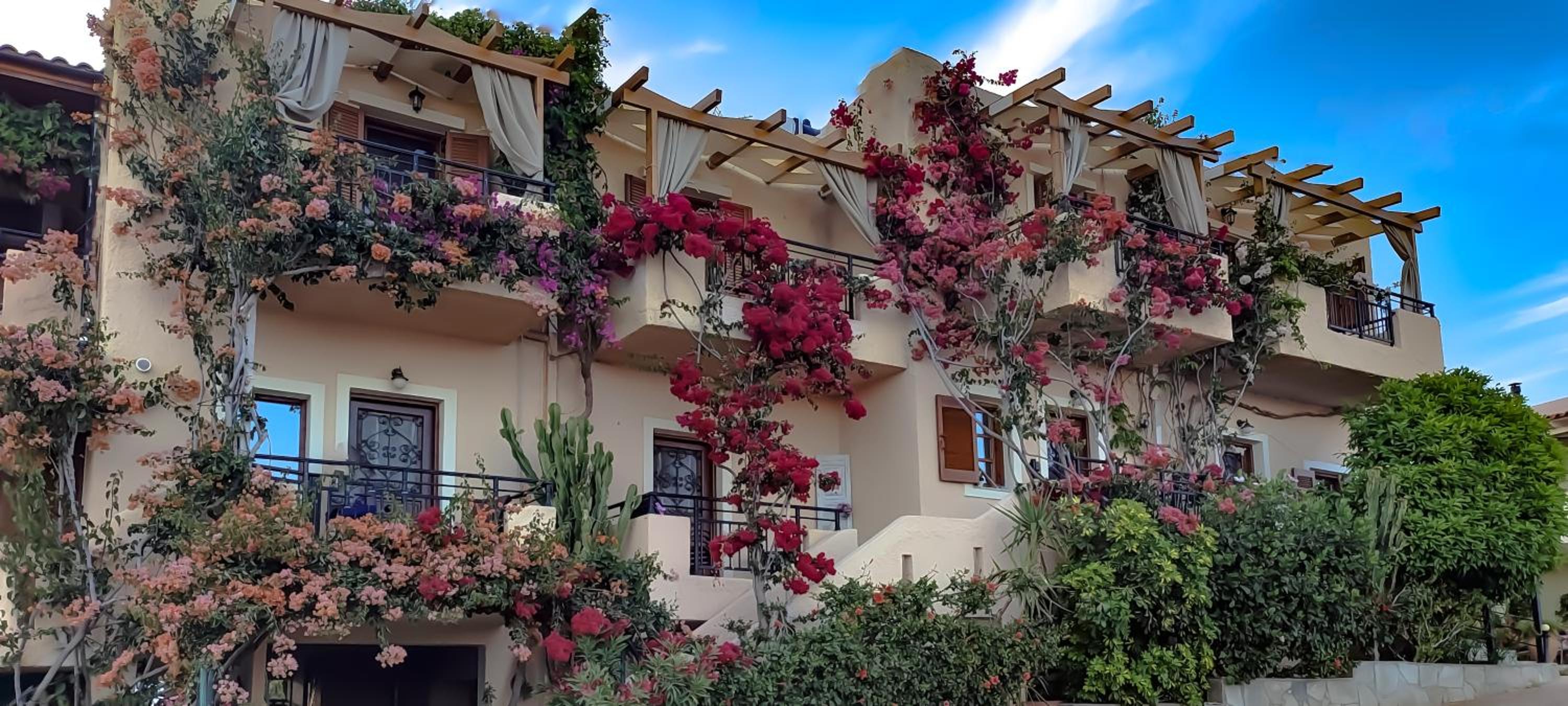 One-Bedroom Apartment with Balcony photo 2