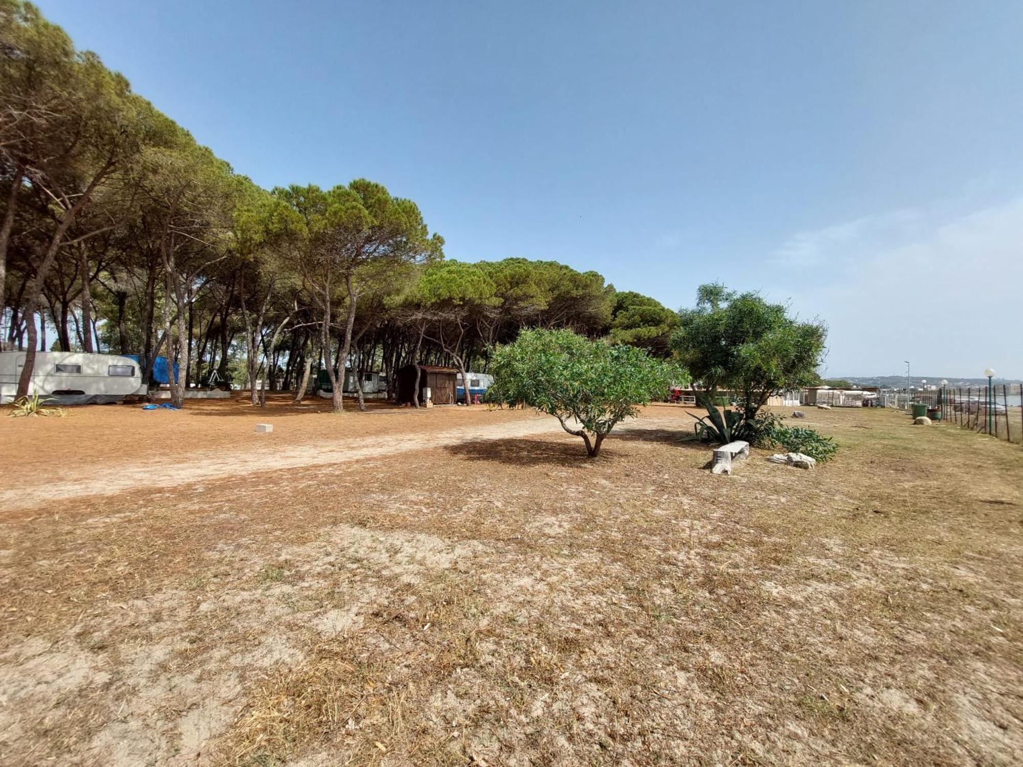Mobile Home photo 3
