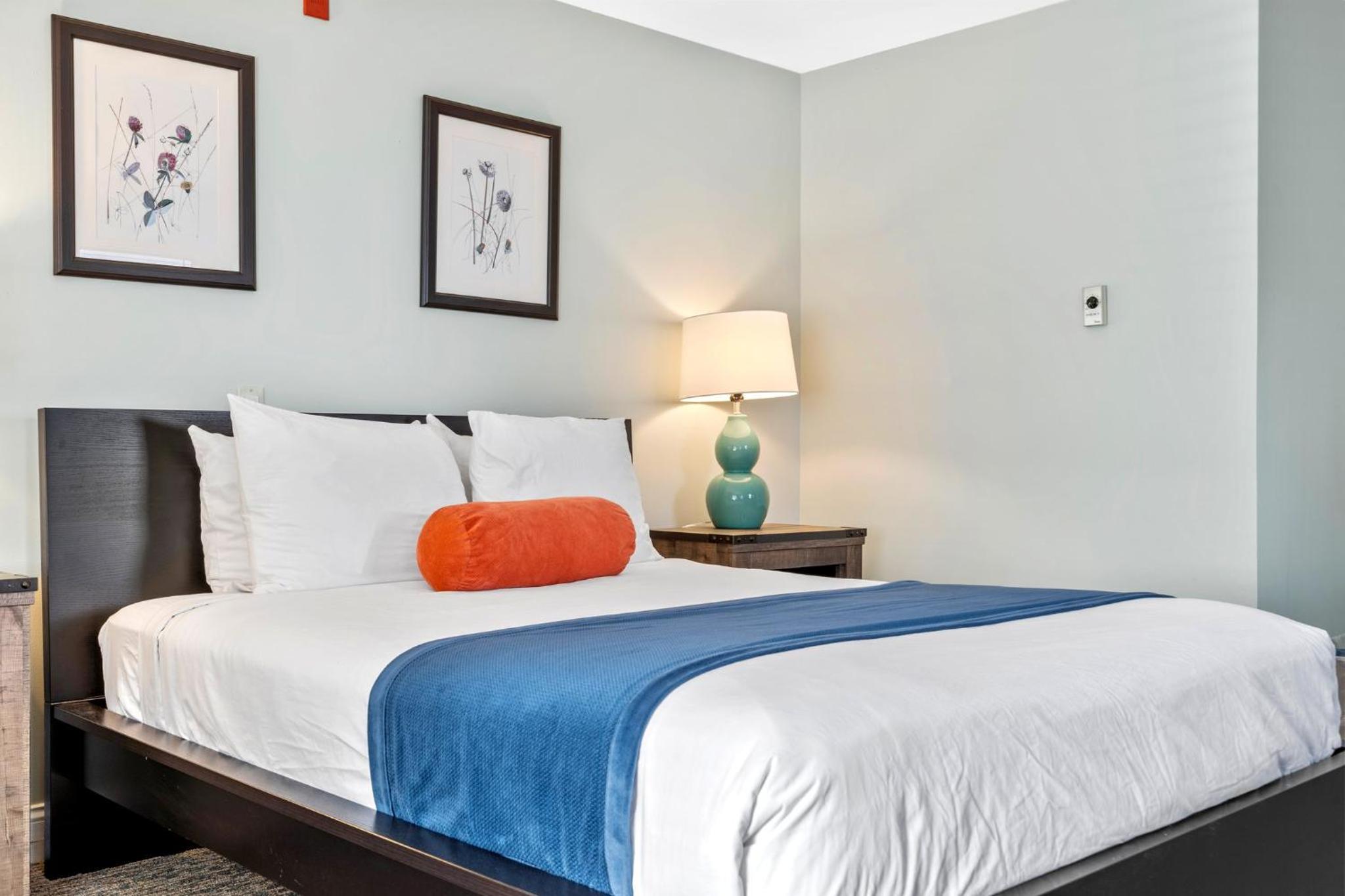 Standard Queen Bed Room