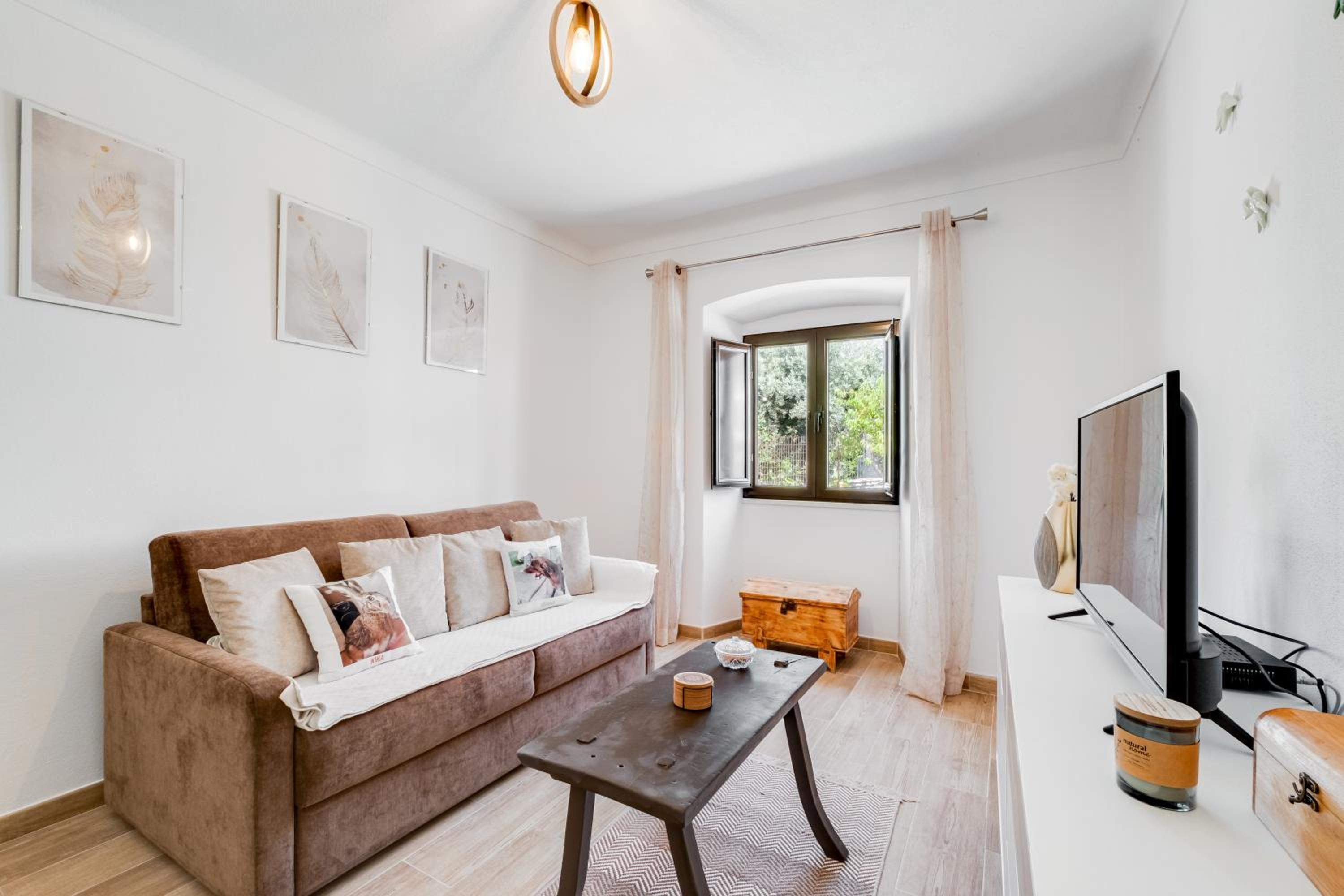 One-Bedroom House photo 2