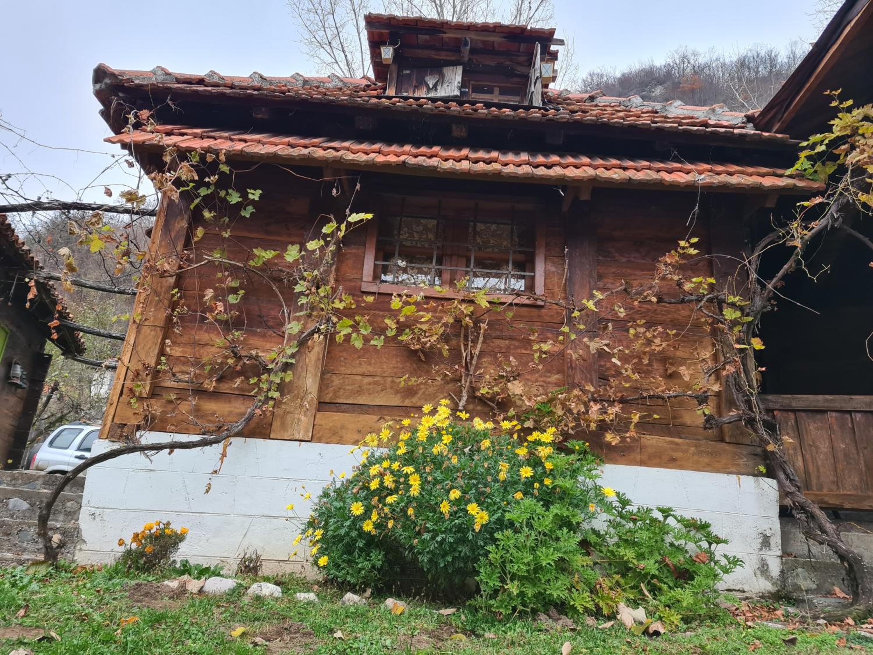 Chalet photo 3