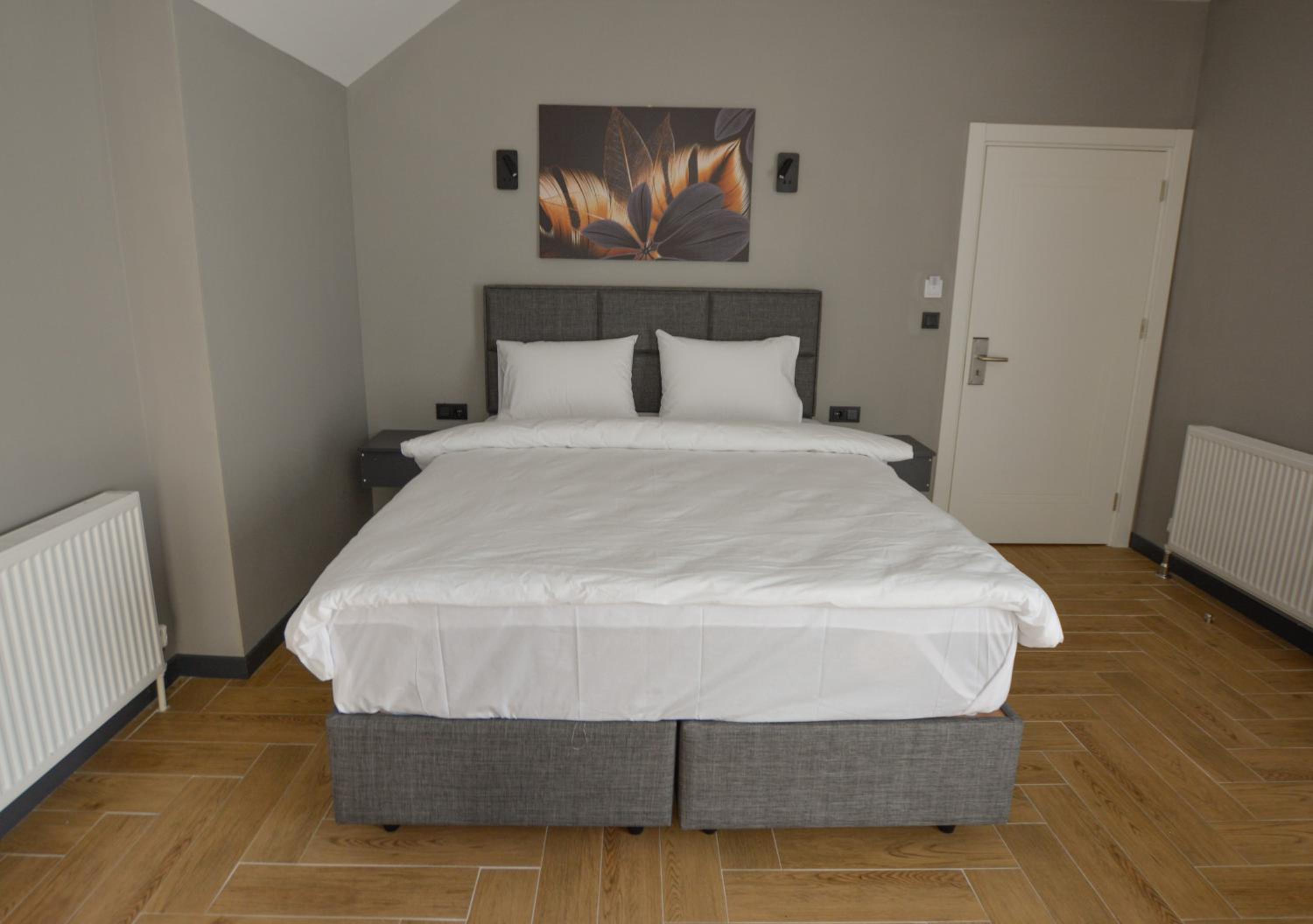 Deluxe Double Room photo 3