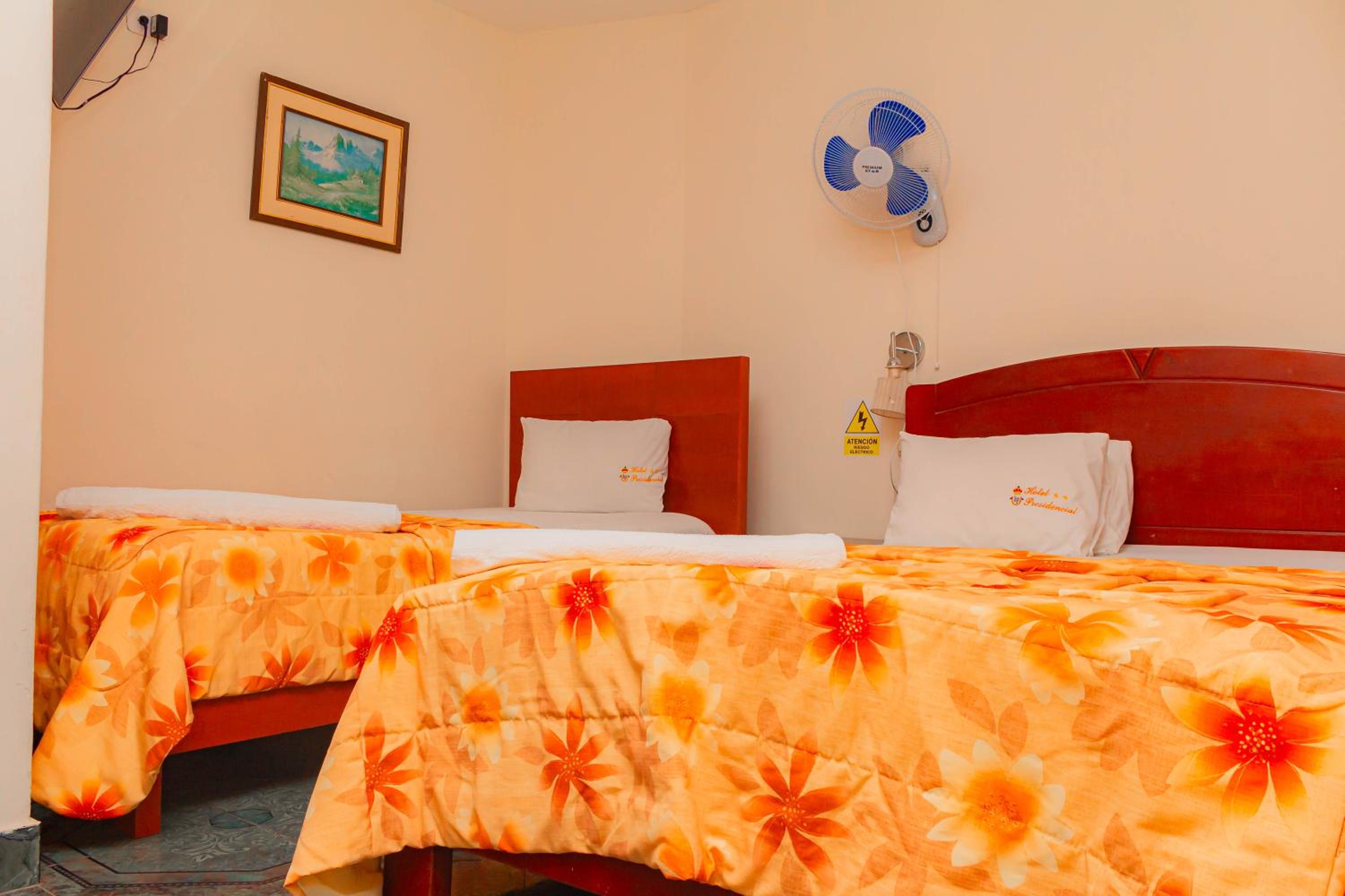 Twin Room photo 2