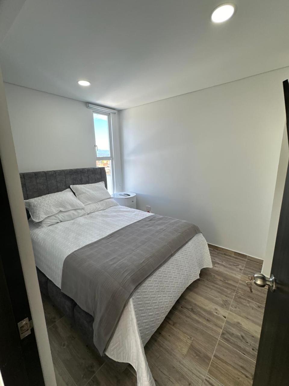 One-Bedroom Apartment photo 3