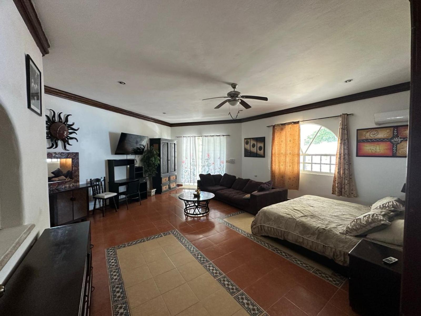 King Studio with Sofa Bed photo 3