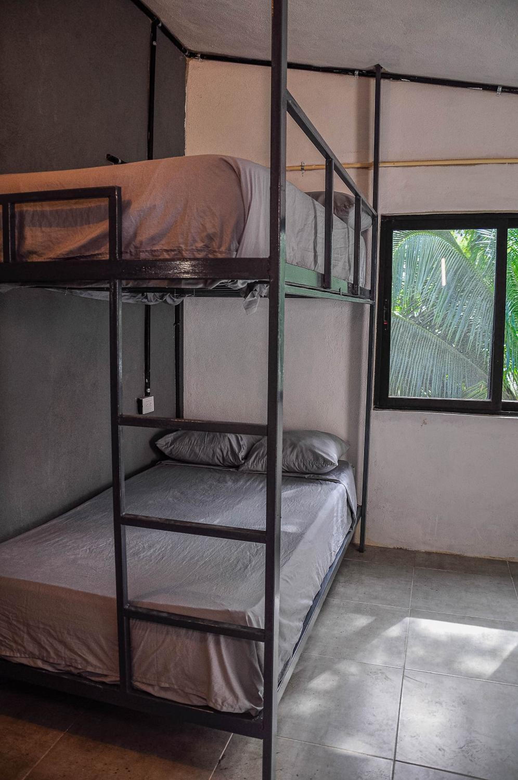 Bed in 6-Bed Mixed Dormitory Room photo 1