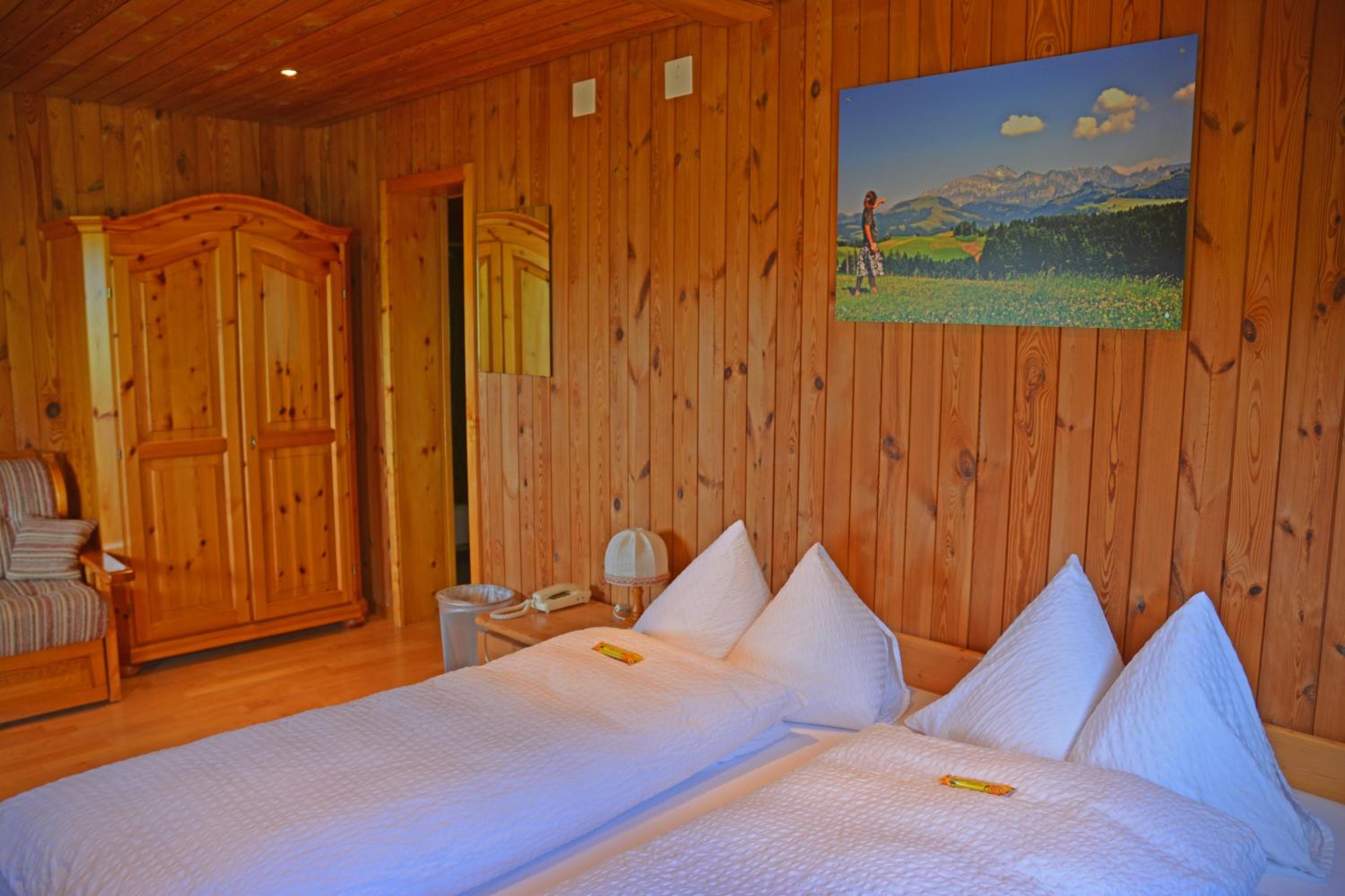 Double Room with Mountain View and Private Bathroom photo 2