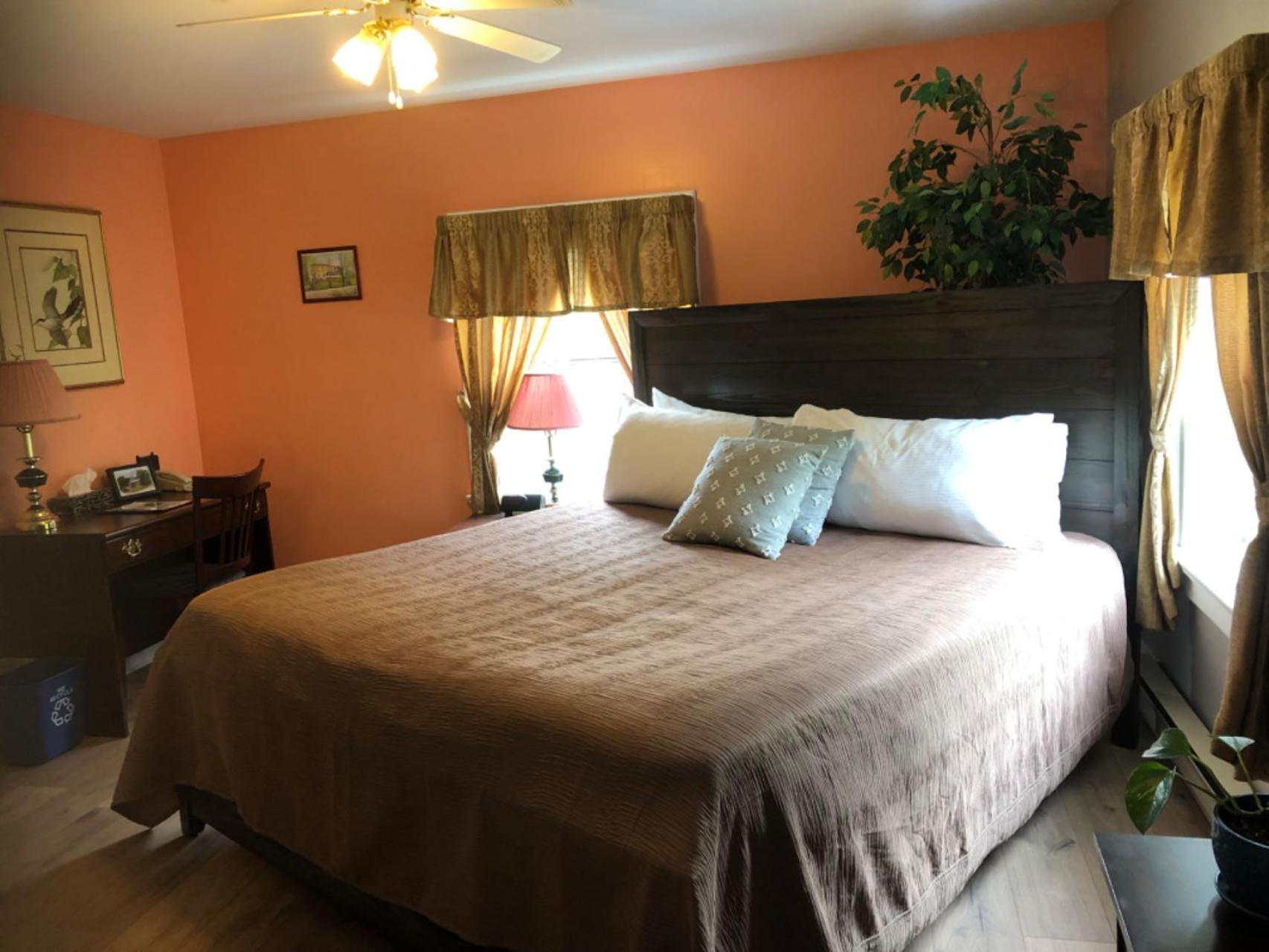 King Suite photo 1