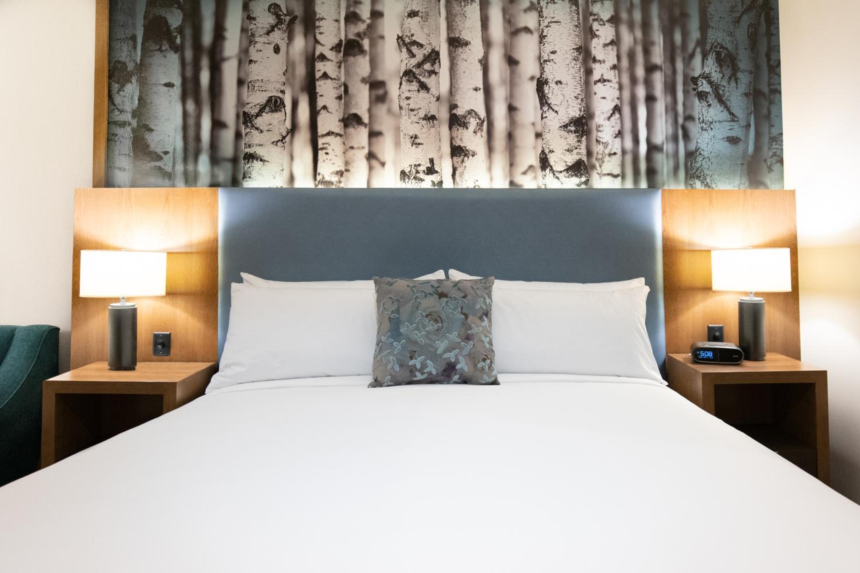 Deluxe Single Room photo 1