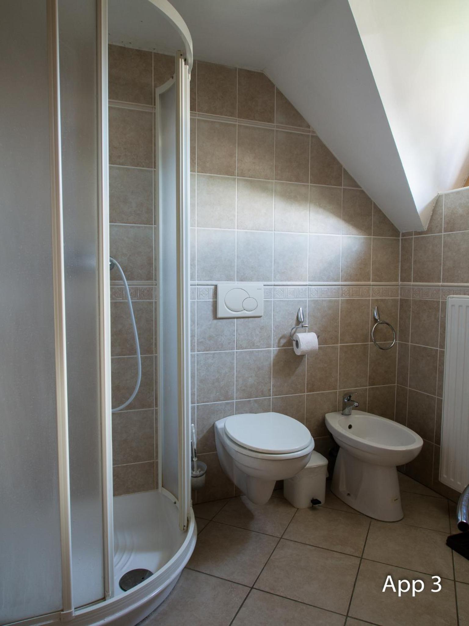 Large One-Bedroom Apartment - Attic - Photo 19