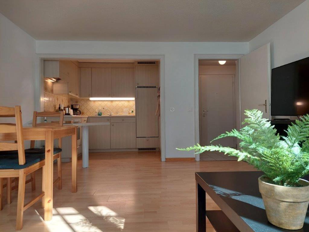 One-Bedroom Apartment photo 3