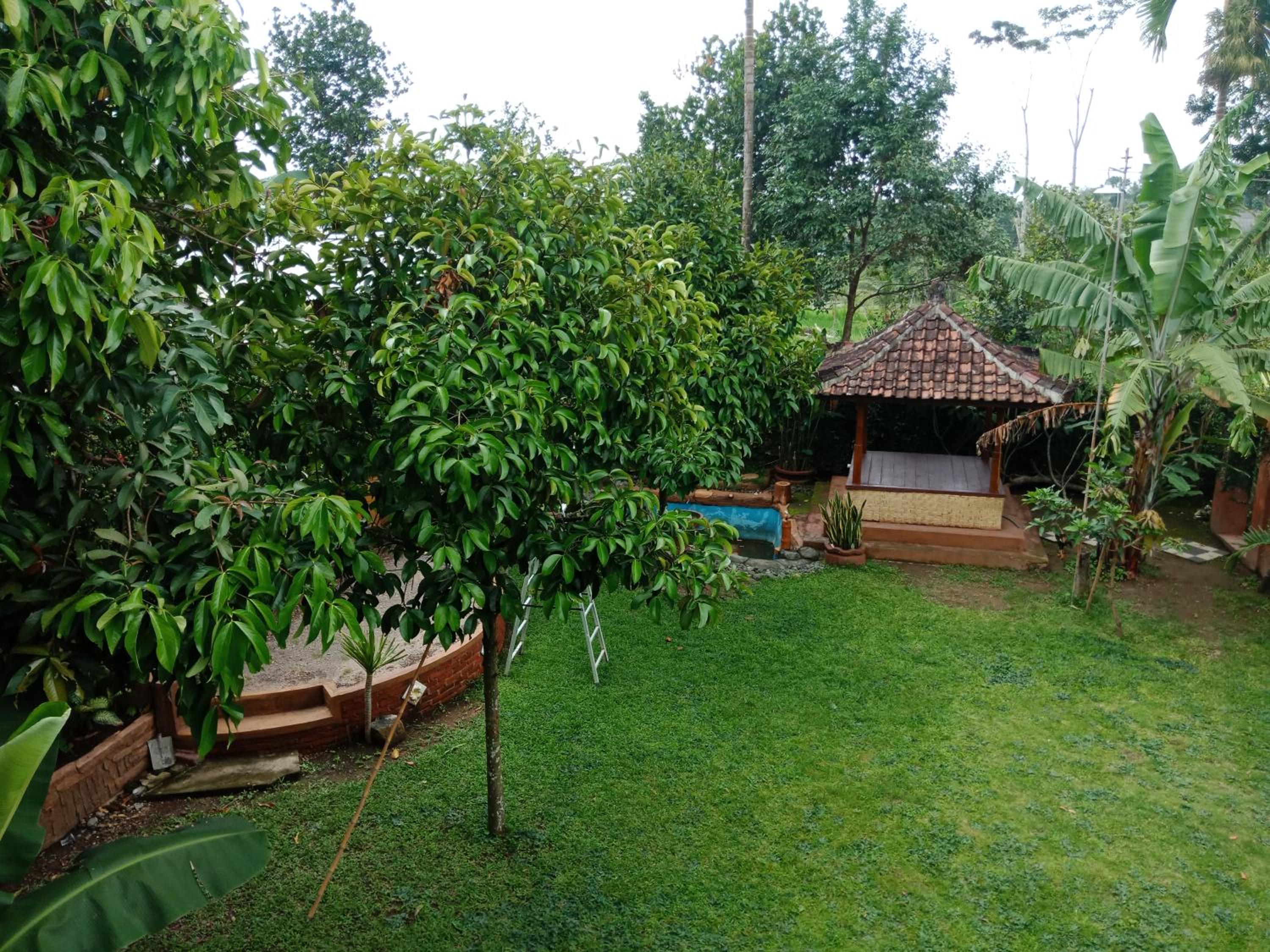 Standard Bungalow photo 1