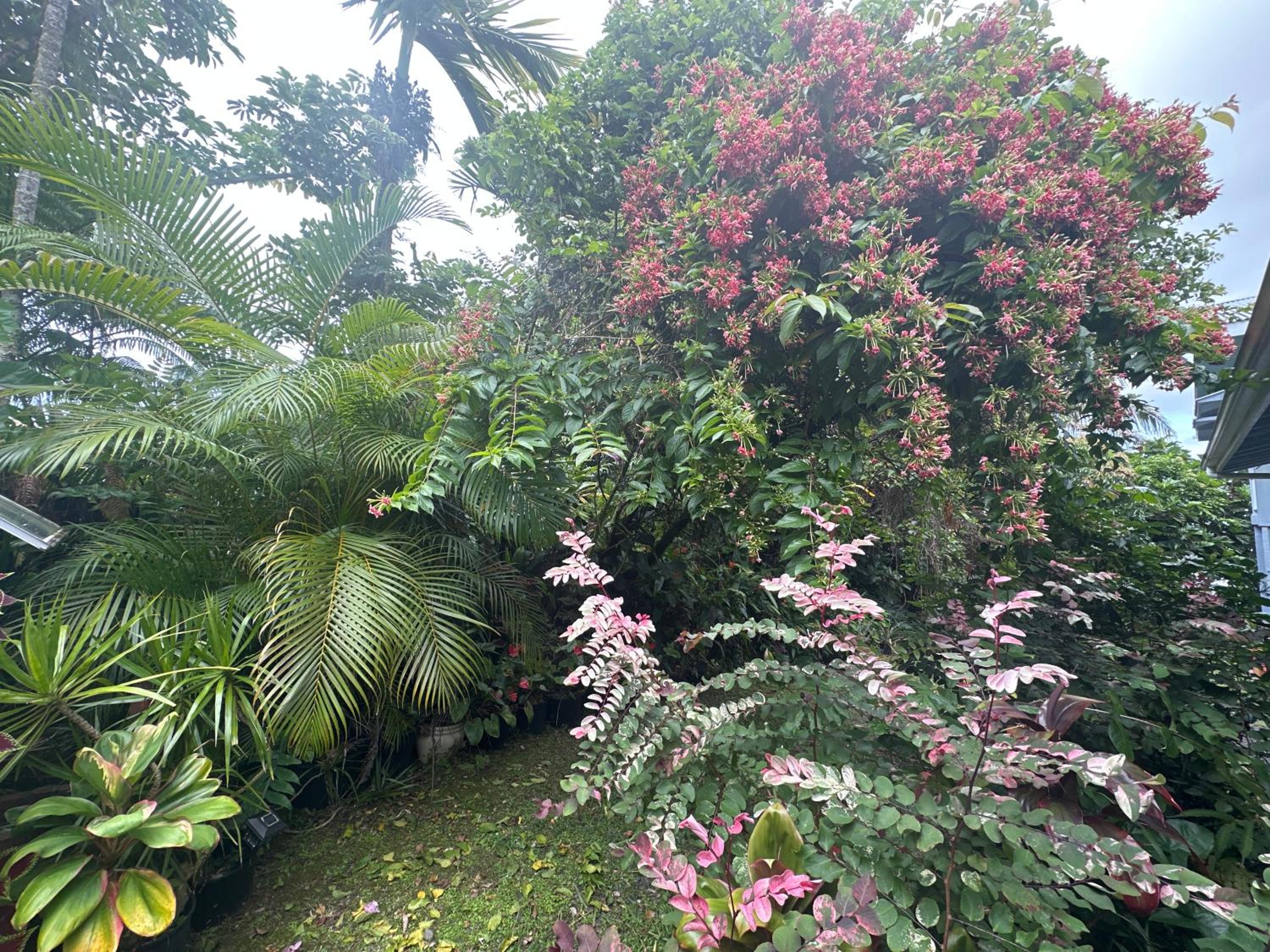 Bungalow with Garden View - Photo 15