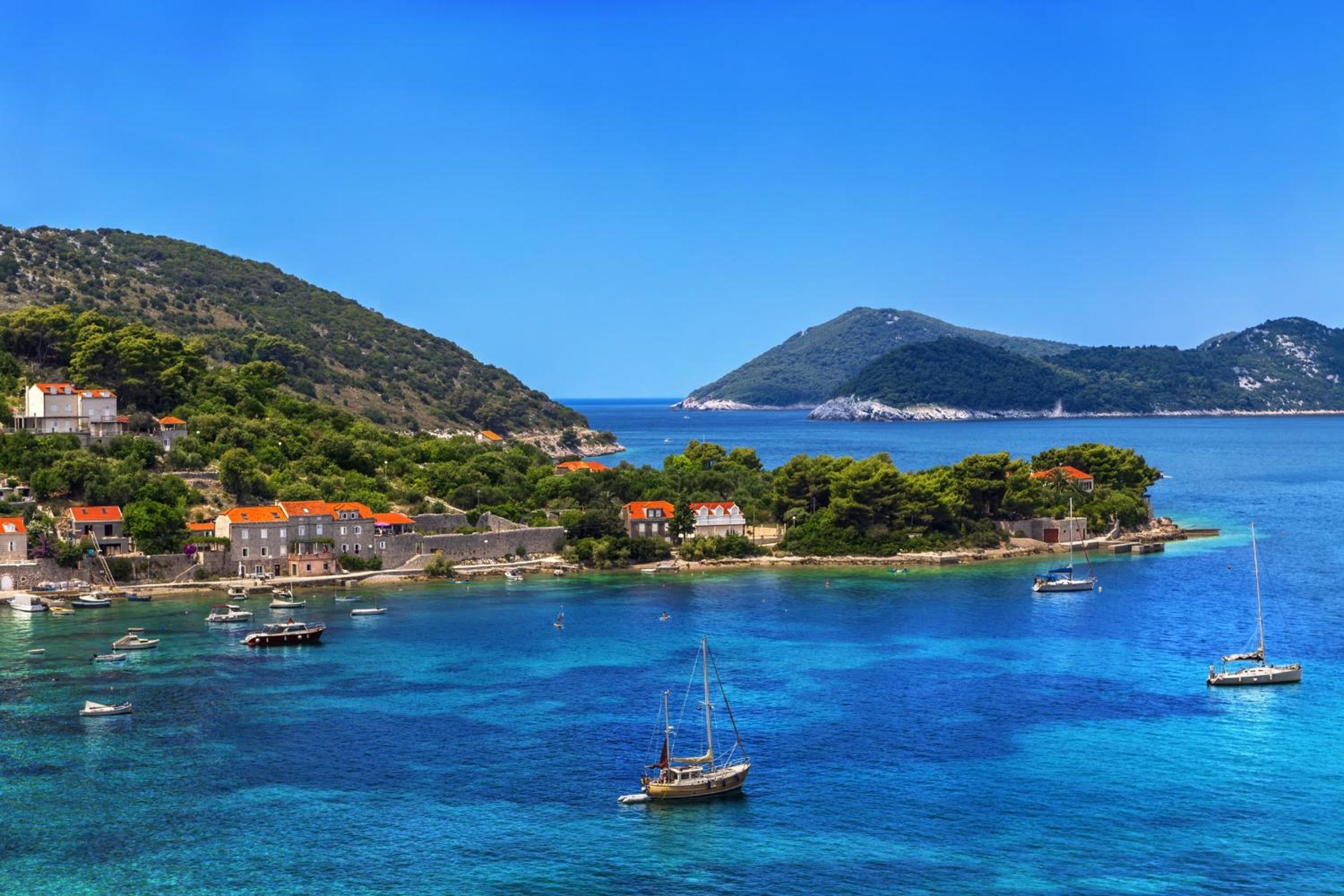 Special Offer - Standard Room with Half day Private Boat Tour photo 2