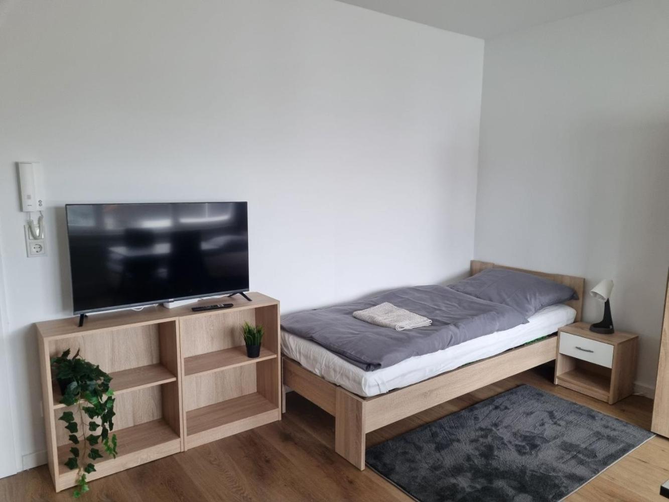 One-Bedroom Apartment photo 3