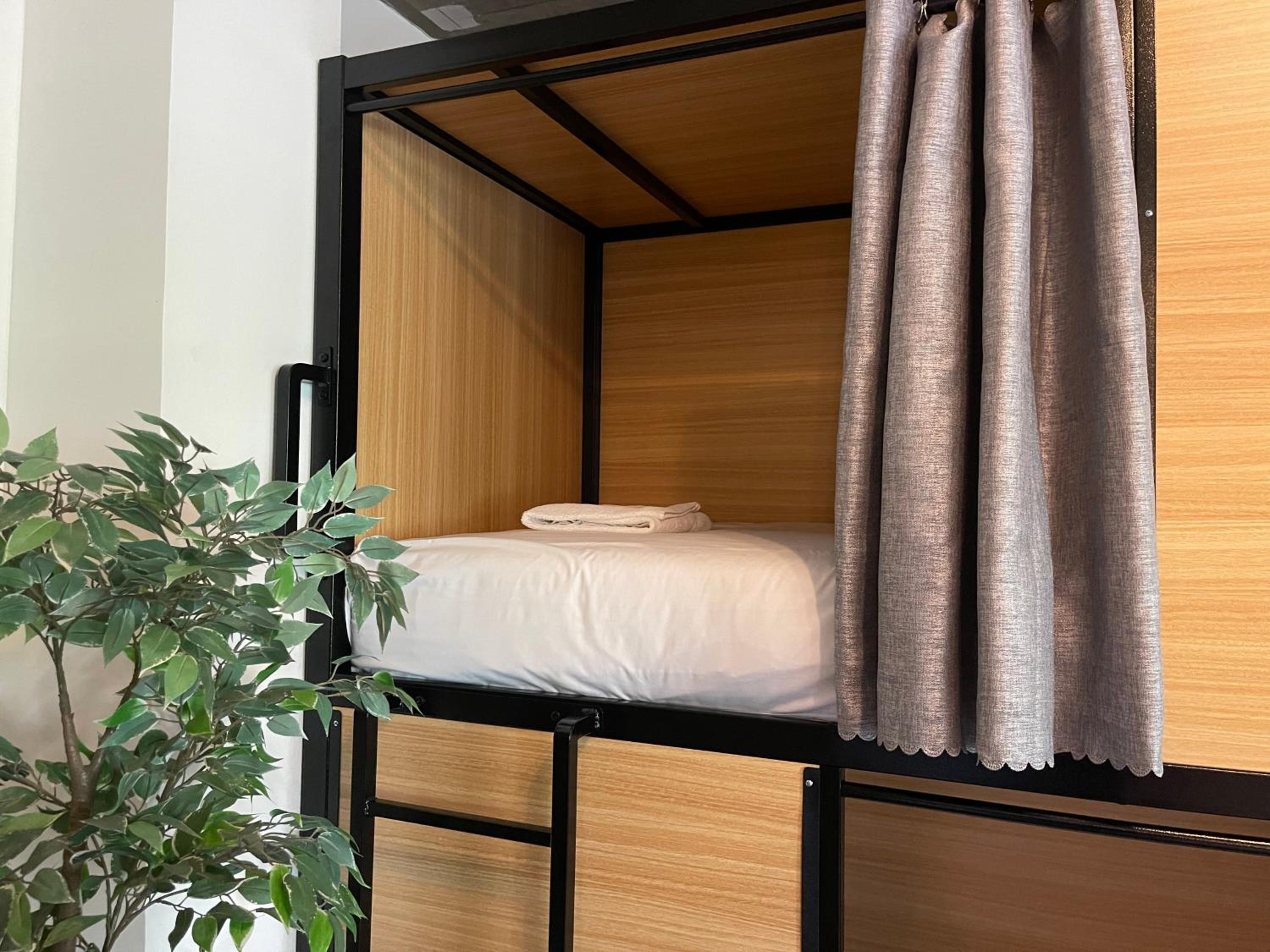 Bed in 6-Bed Mixed Dormitory Room