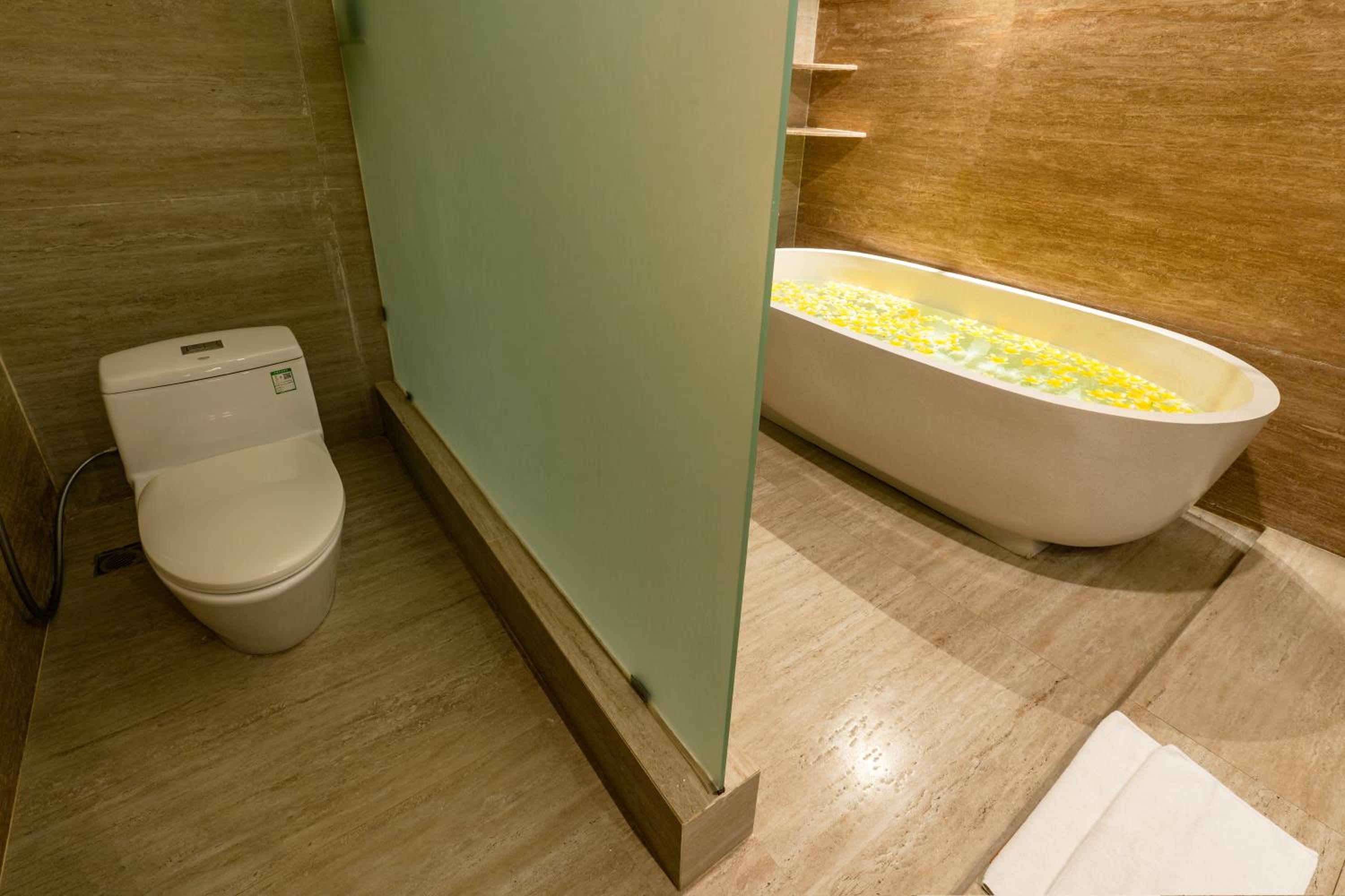 Suite - Photo 7