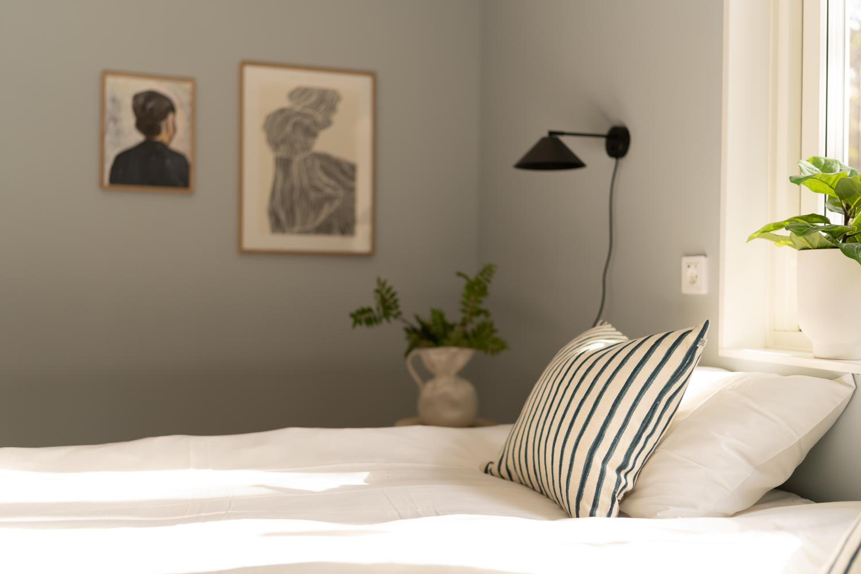 Double Room - Disability Access photo 1