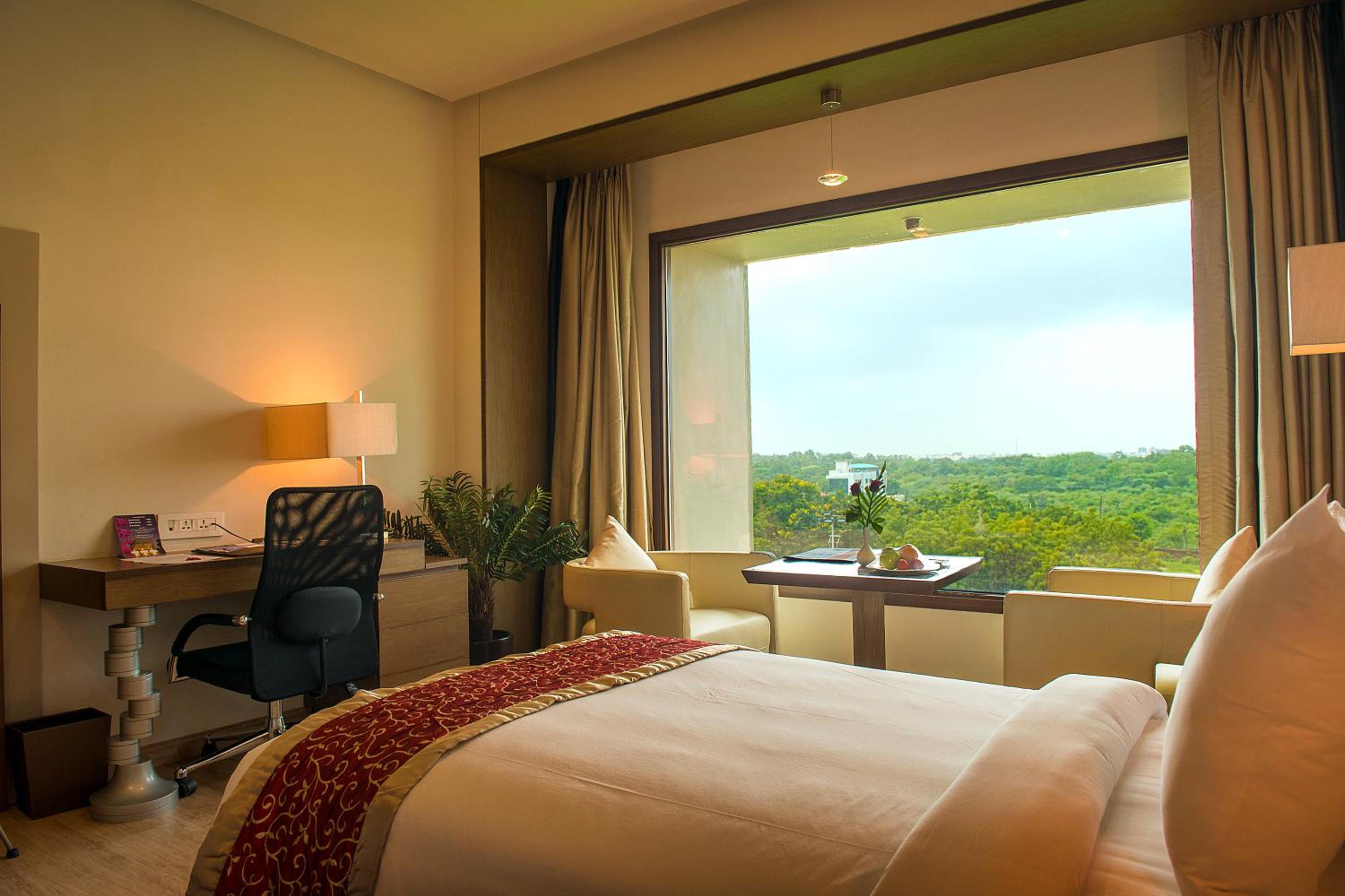 Superior Double or Twin Room photo 3