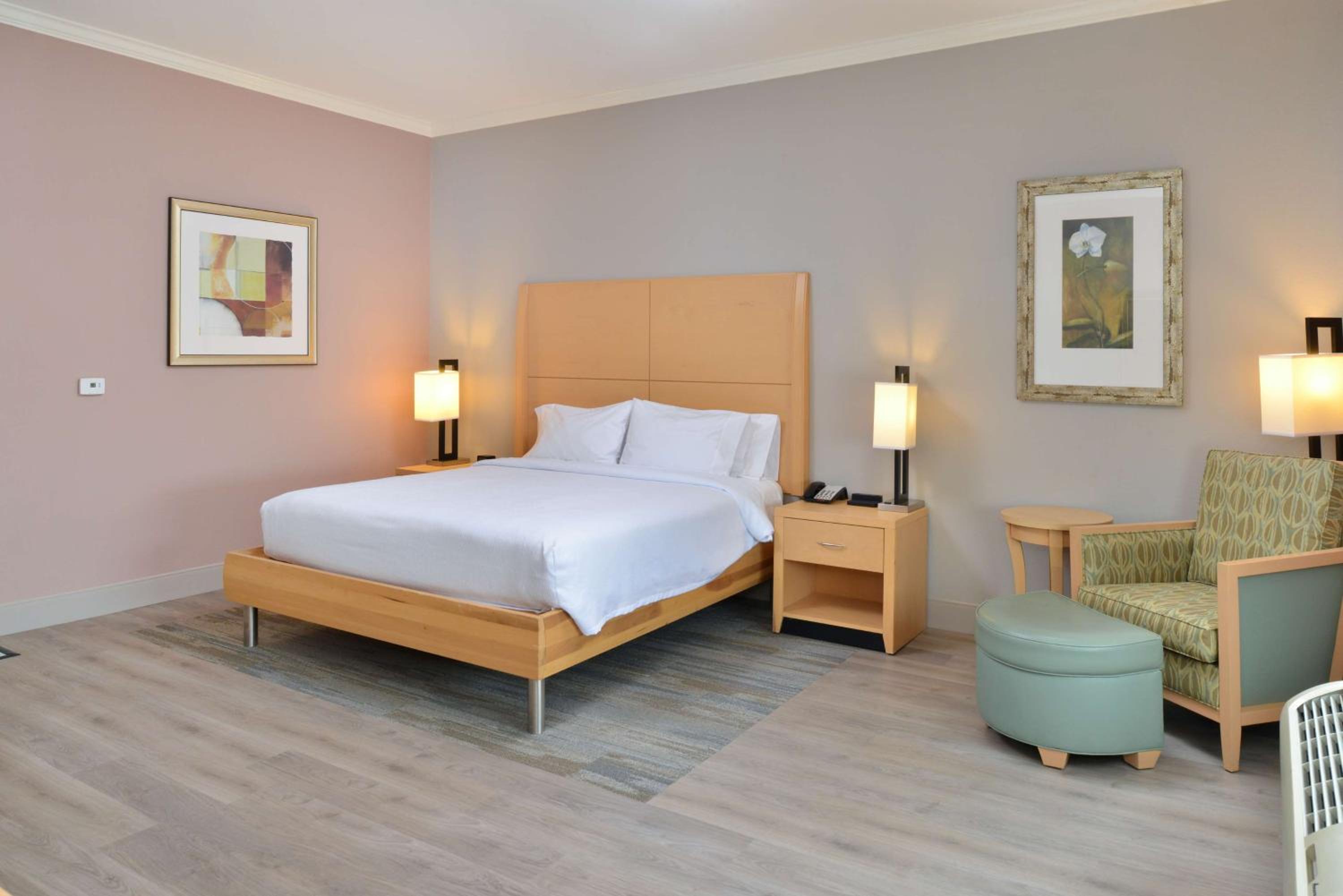 King Room with Tub - Mobility and Hearing Access - Photo 1