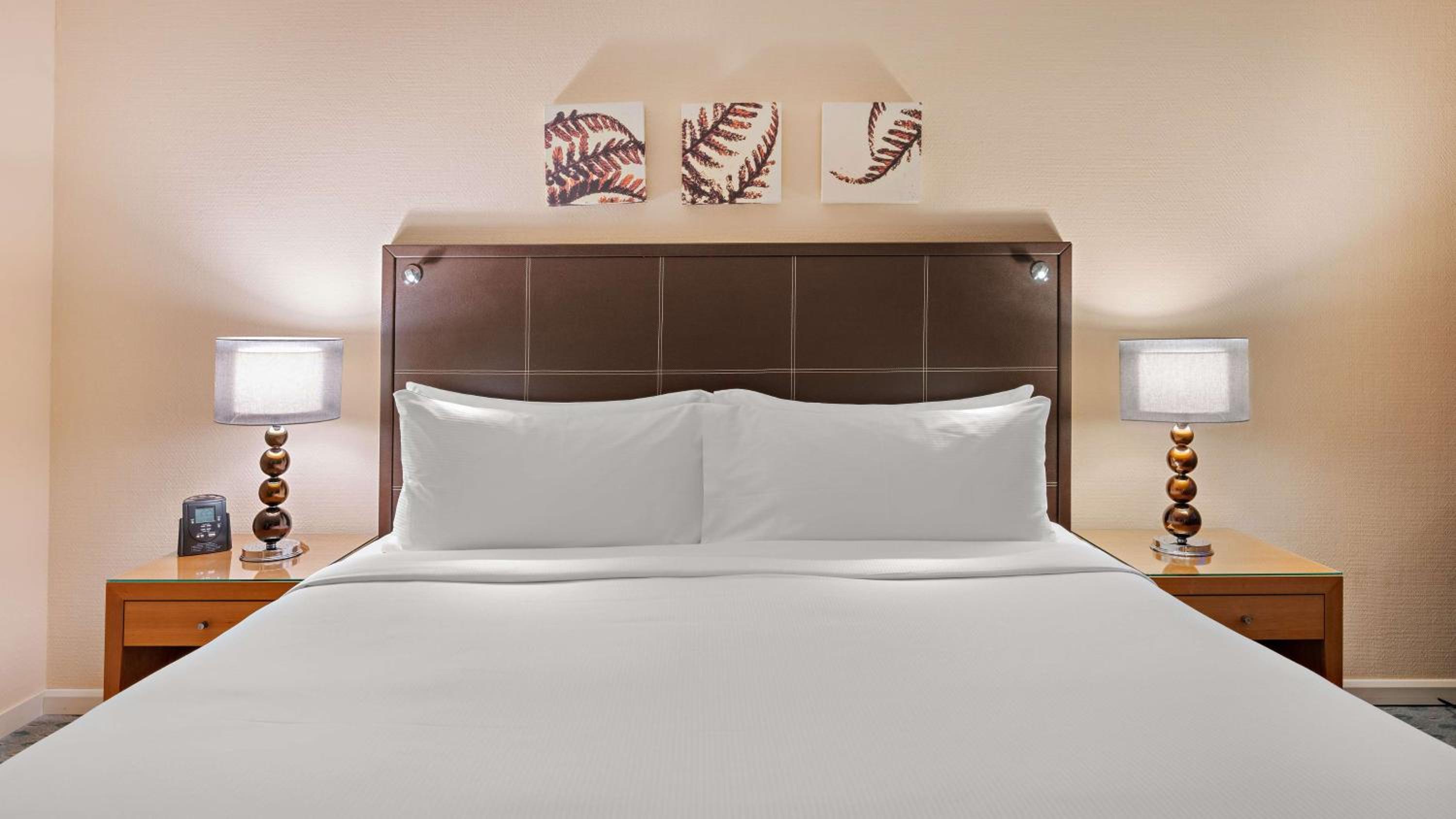 Executive Double Room