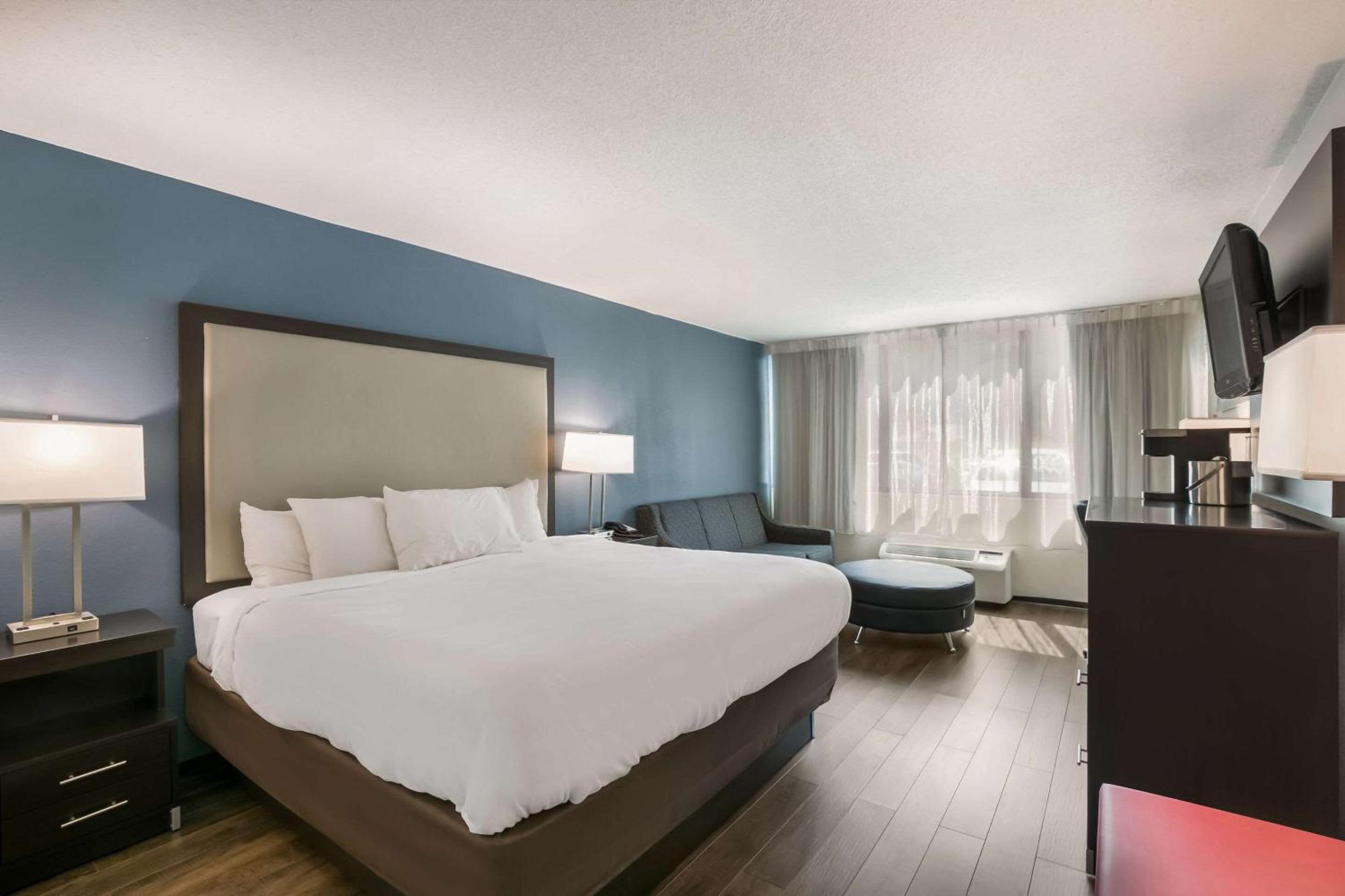 Standard King Room with Sofa Bed - Non Smoking - Photo 4