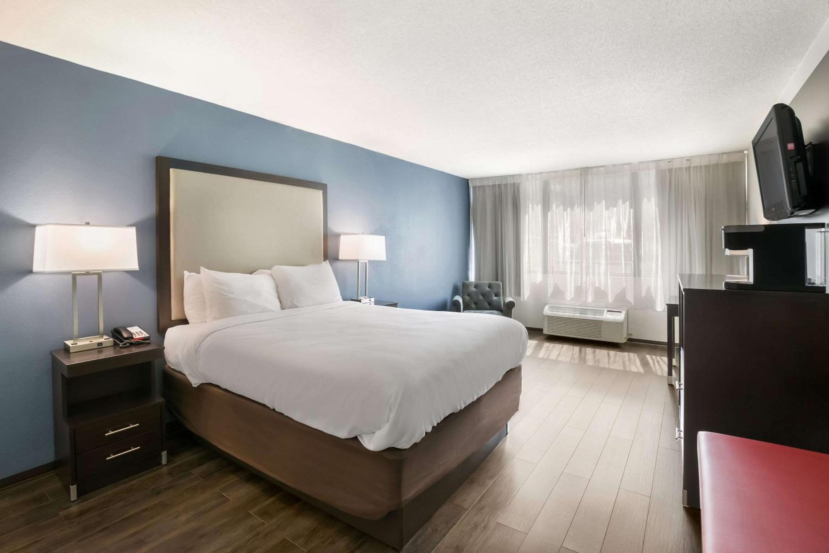 Queen Room - Accessible/Non Smoking - Photo 1