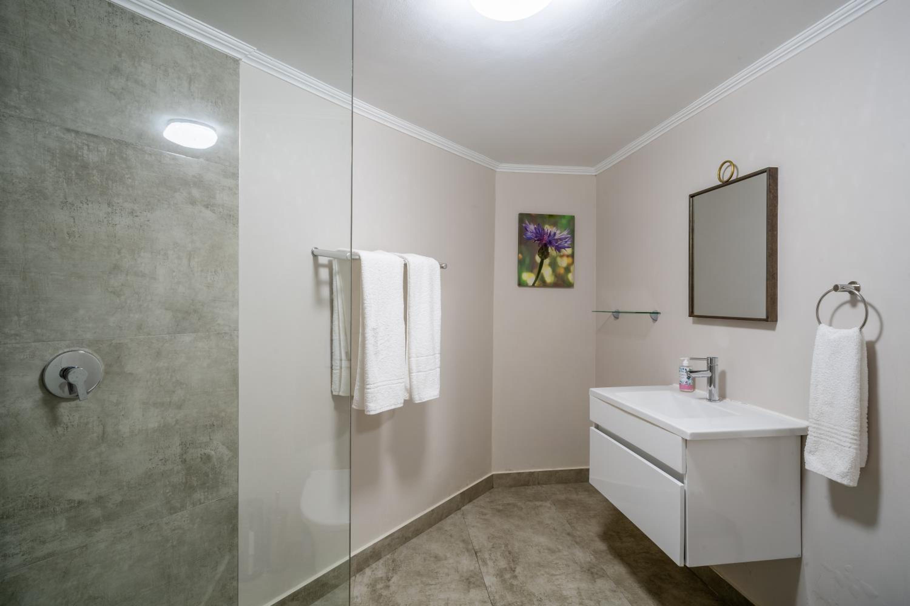 Apartment - Photo 5