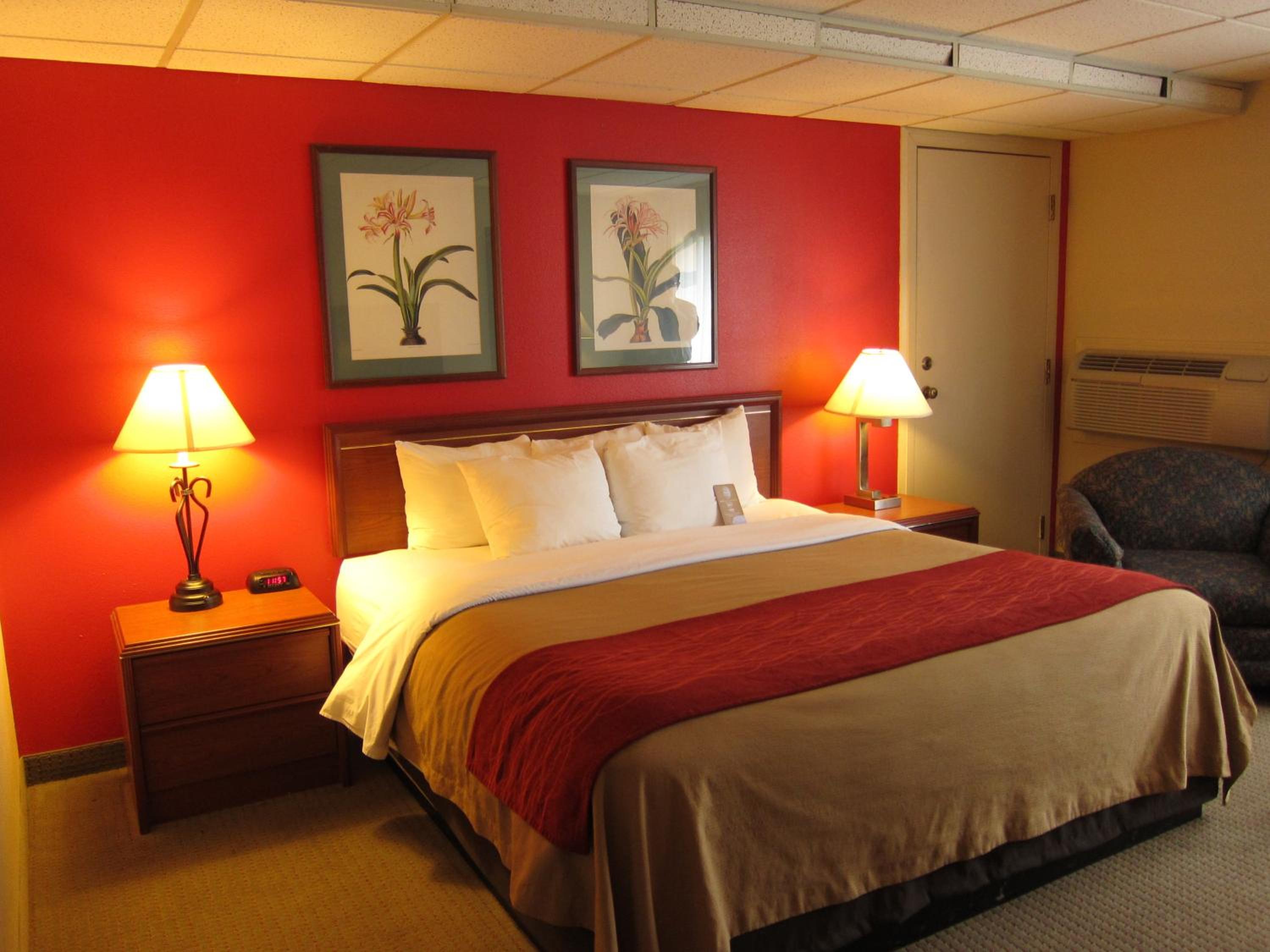 King Room - Non-Smoking - Photo 4