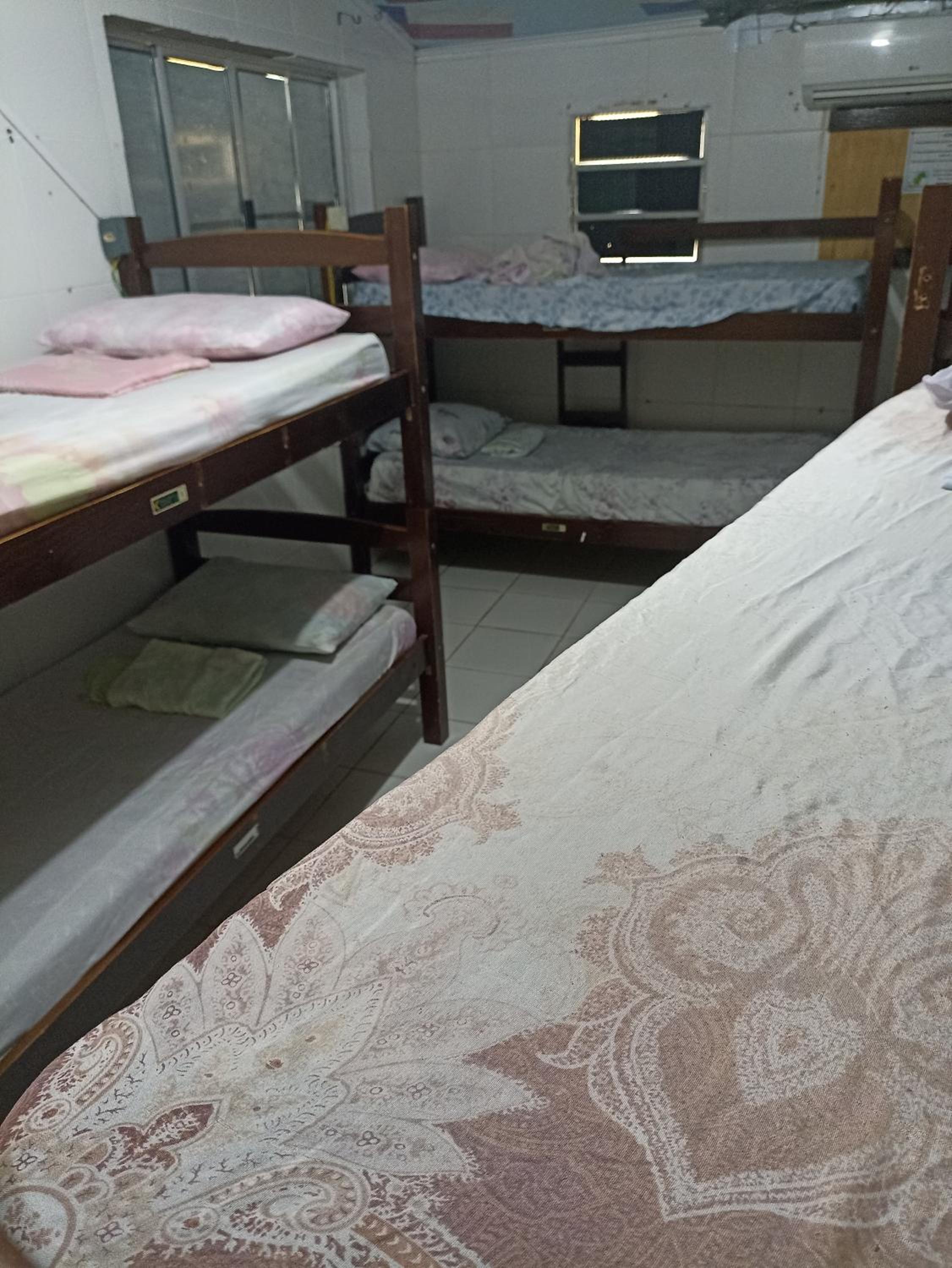 Single Bed in Mixed Dormitory Room photo 2