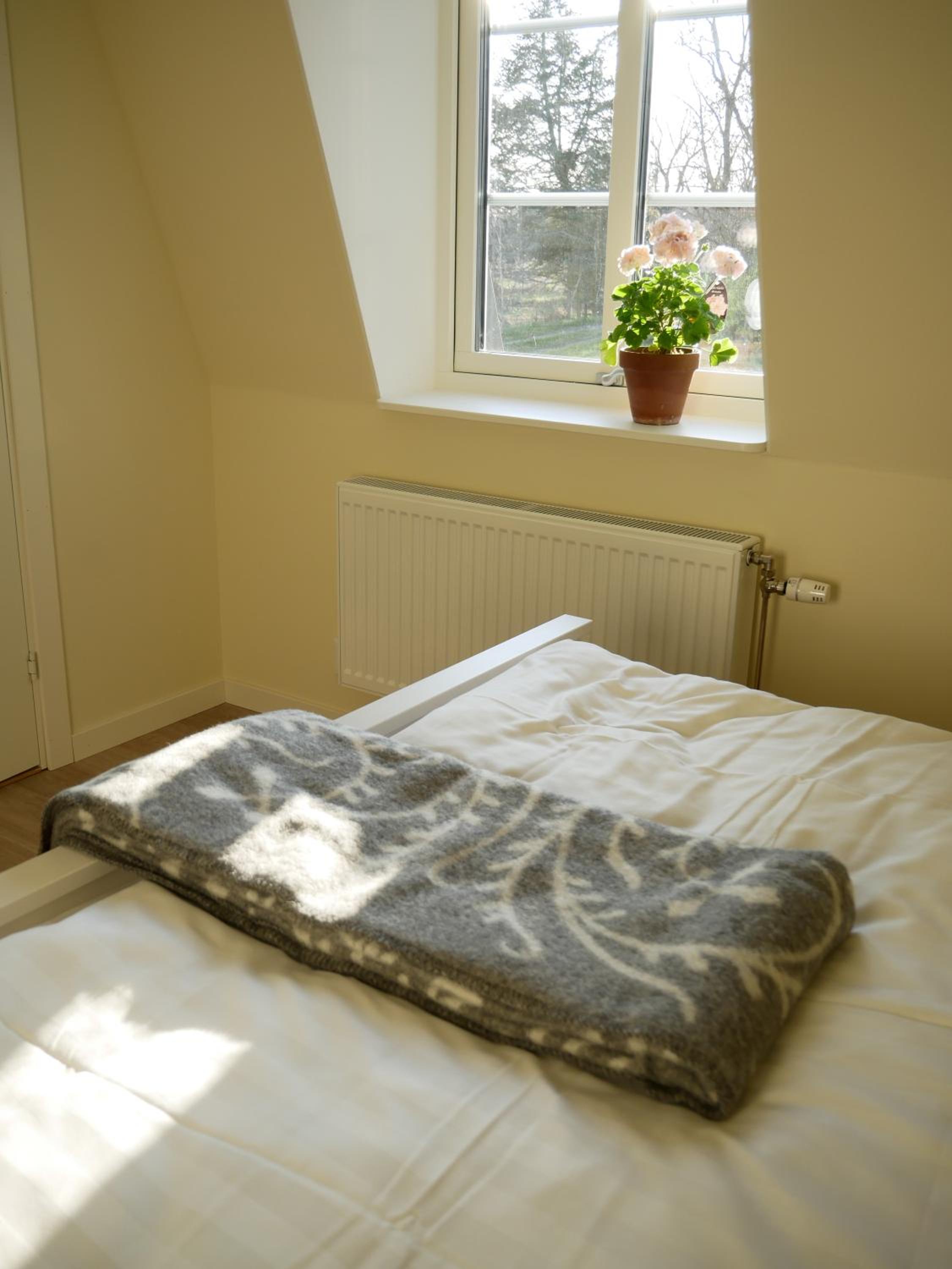Standard Queen Room photo 1