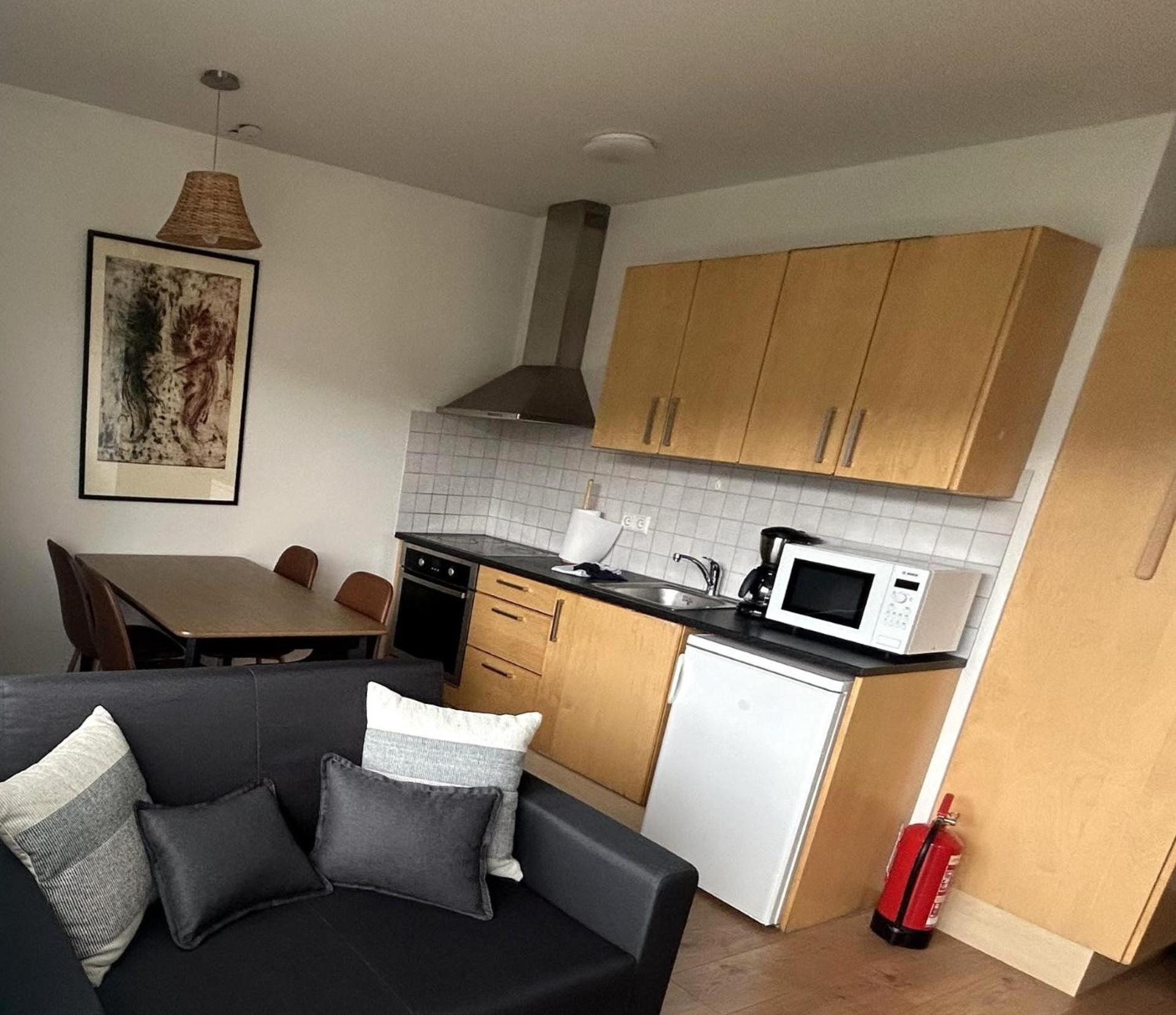 One-Bedroom Apartment photo 2