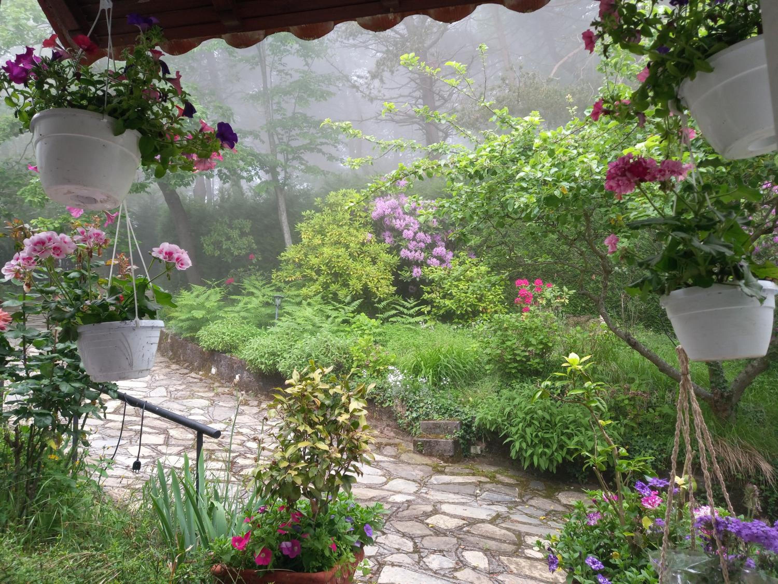 Standard Twin Room with Garden View photo 3