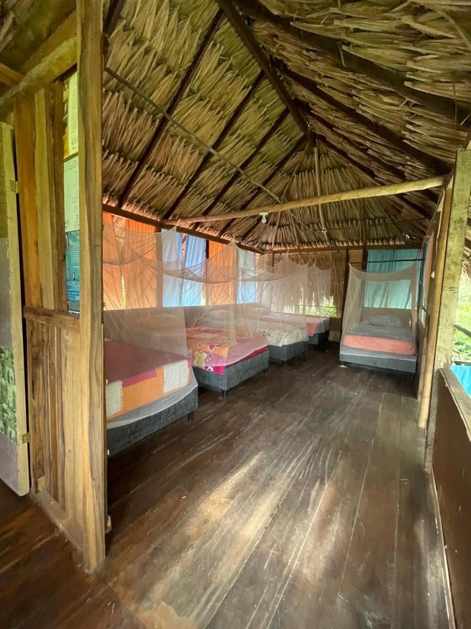 Single Bed in Dormitory Room photo 3