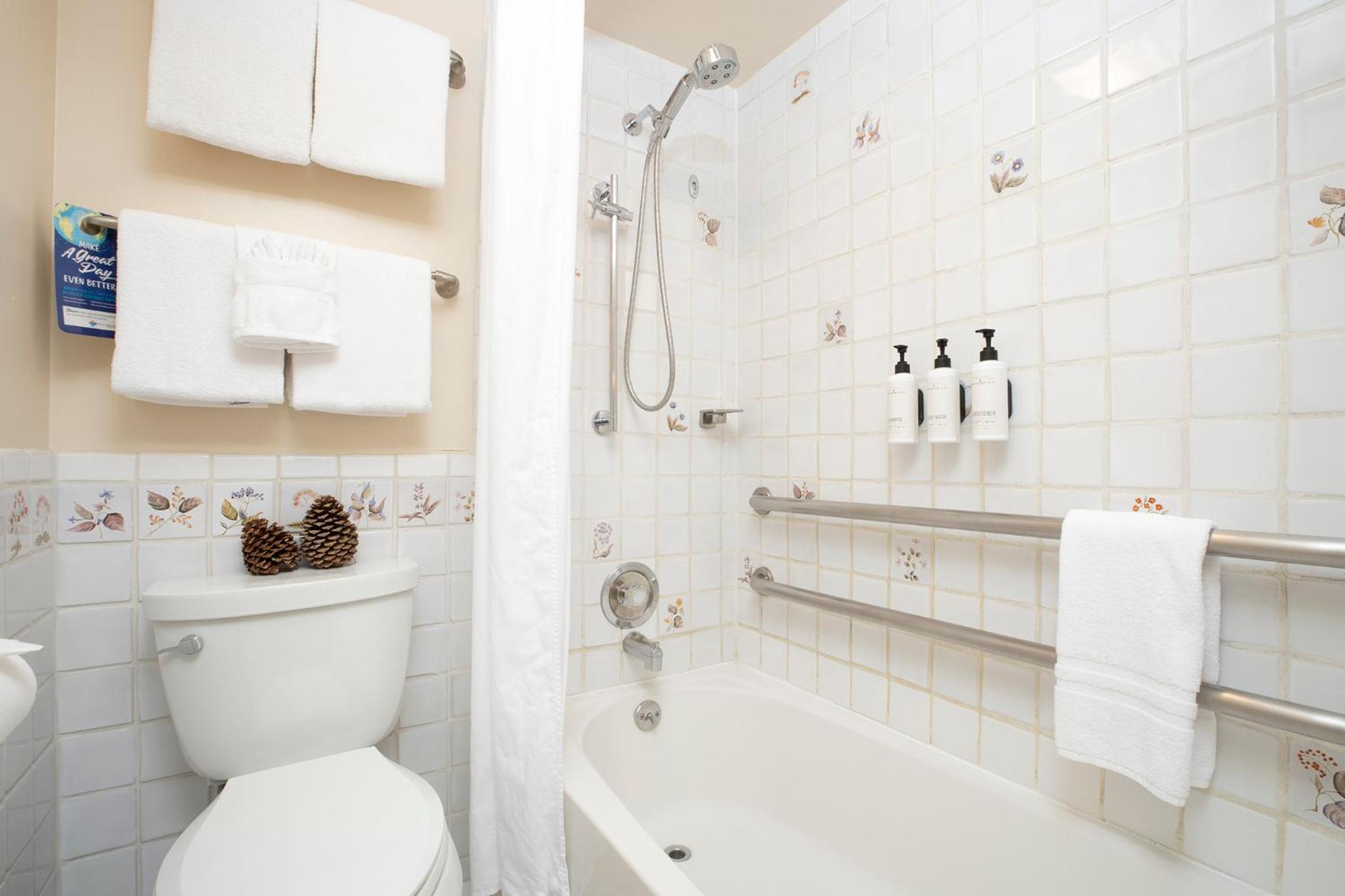 One-Bedroom Suite - Photo 3