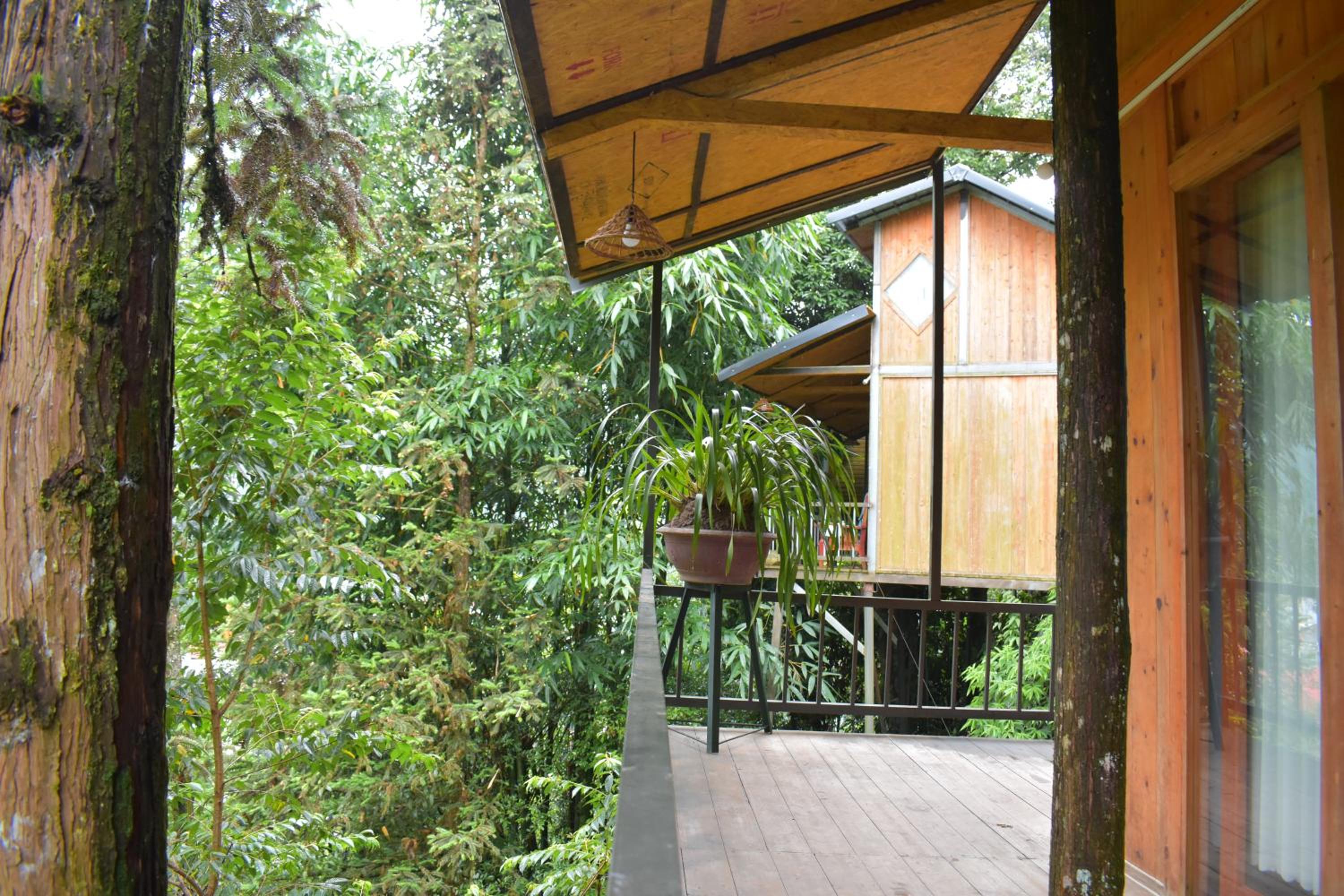One-Bedroom Bungalow - Photo 18