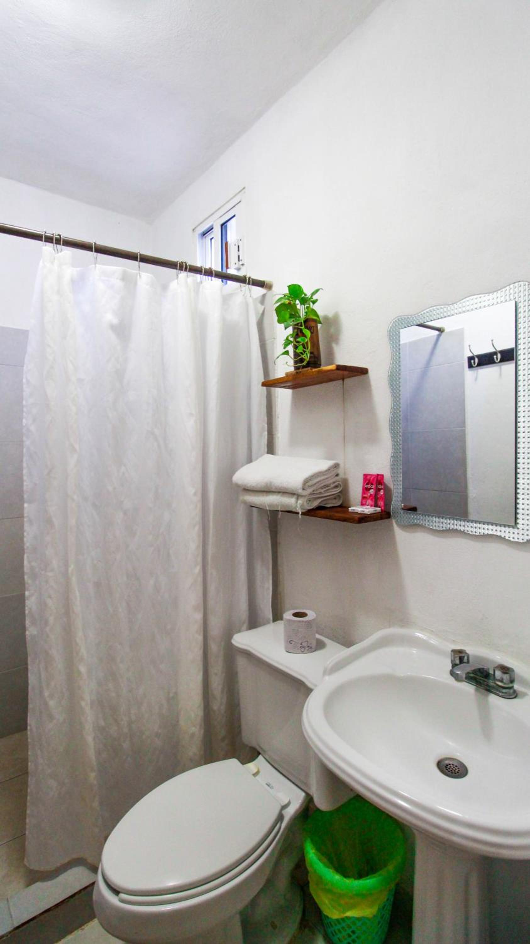 Twin Room photo 2