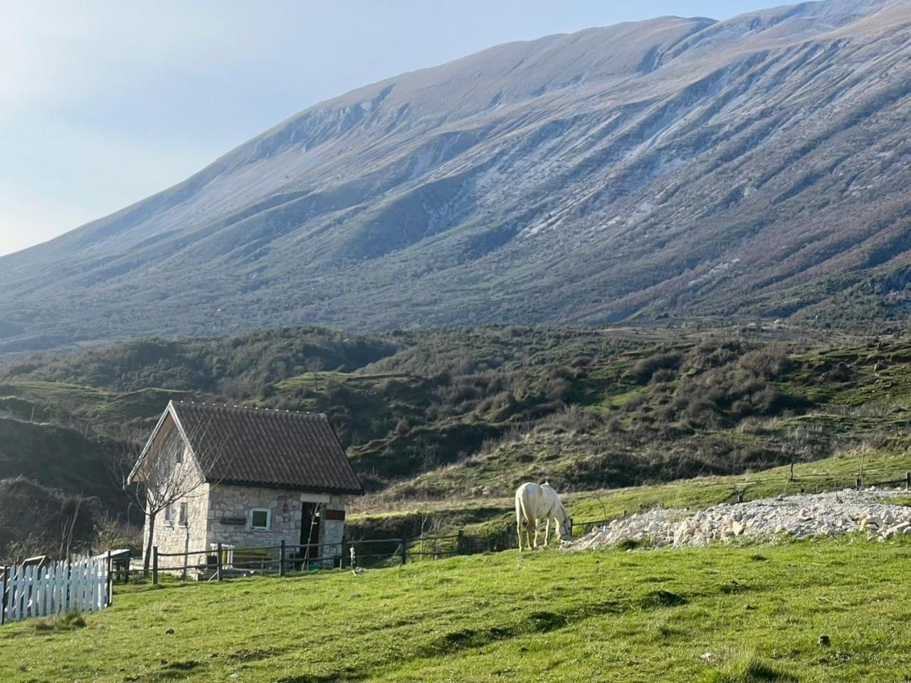 Double Or Twin Room With Mountain View