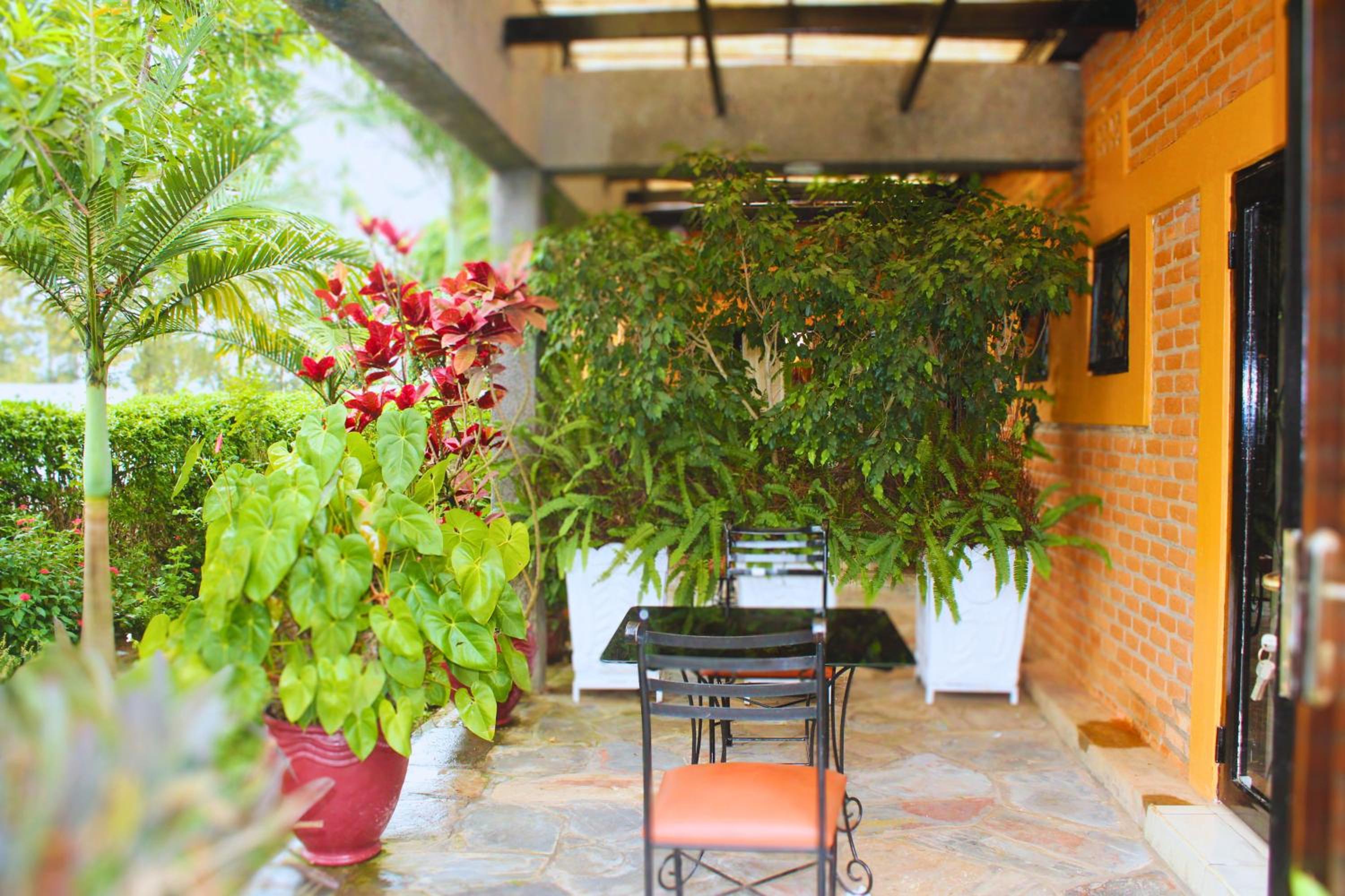 Double Room with Terrace photo 3