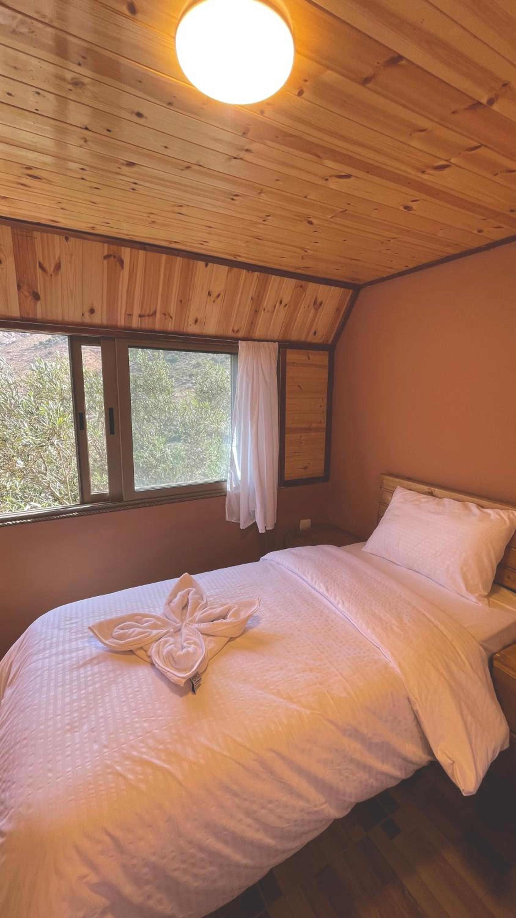 Twin Room with Mountain View photo 1